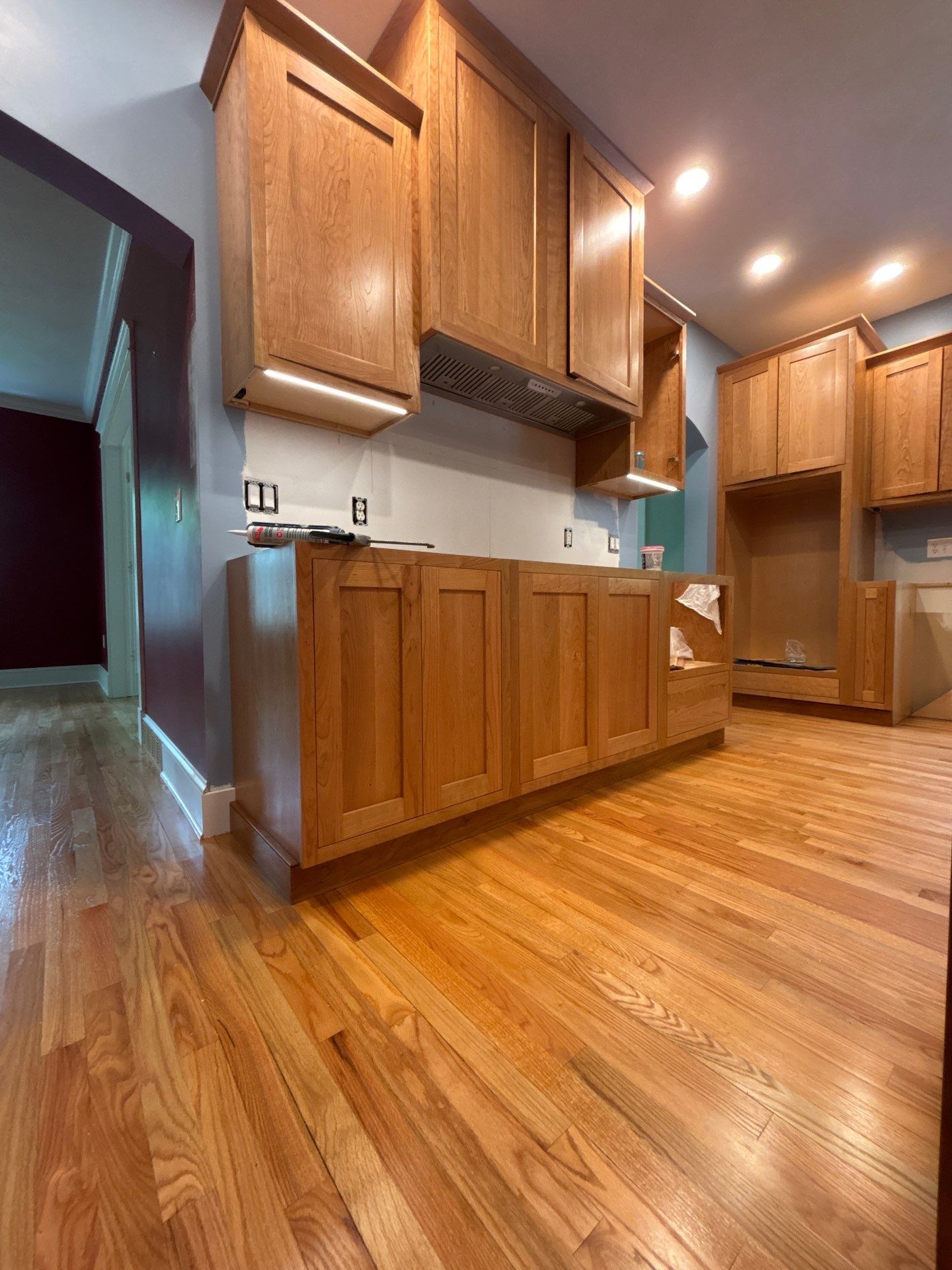 Kitchen Renovation by Case Construction