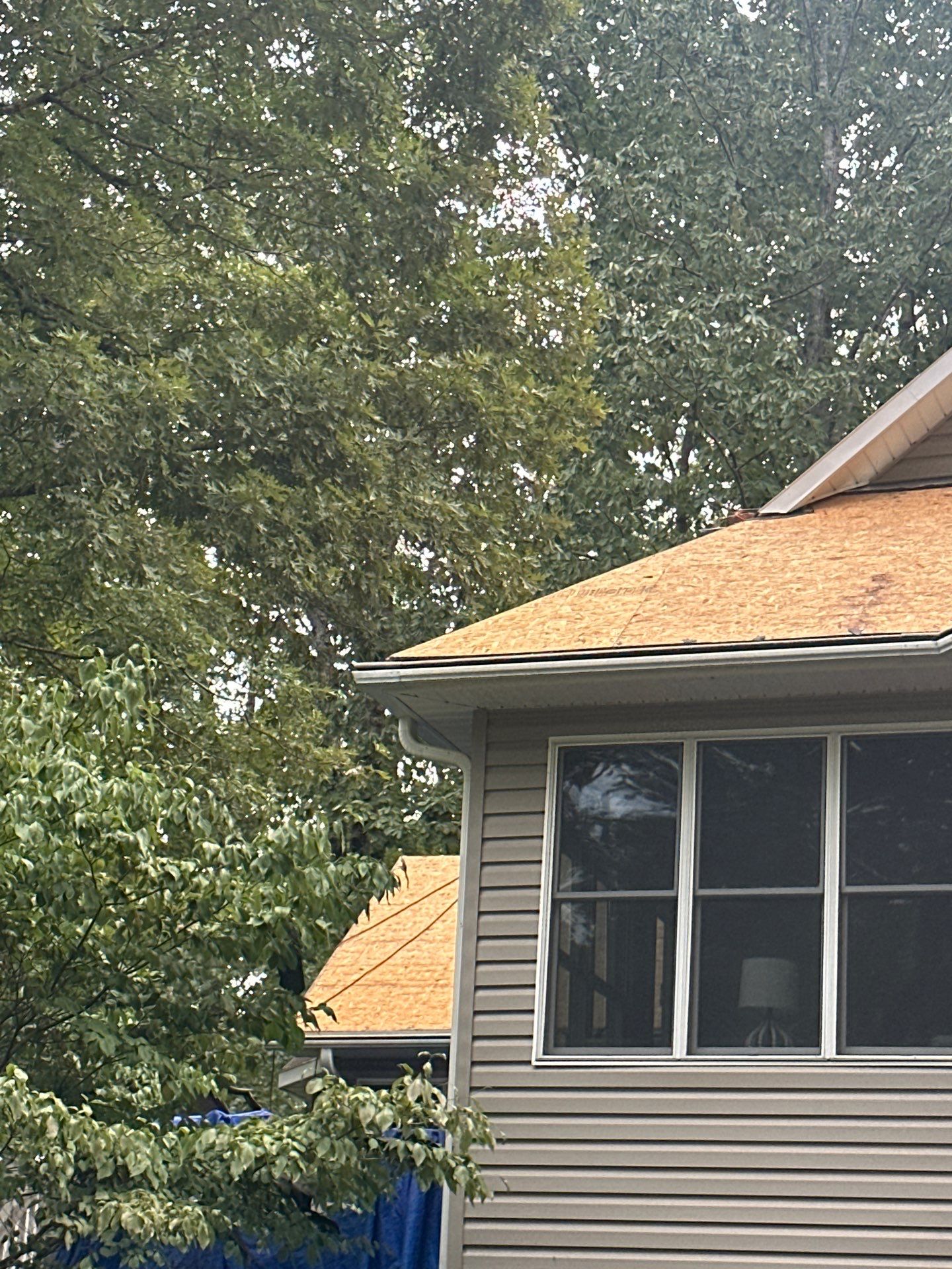 The Hollensbes by United Contracting and Roofing