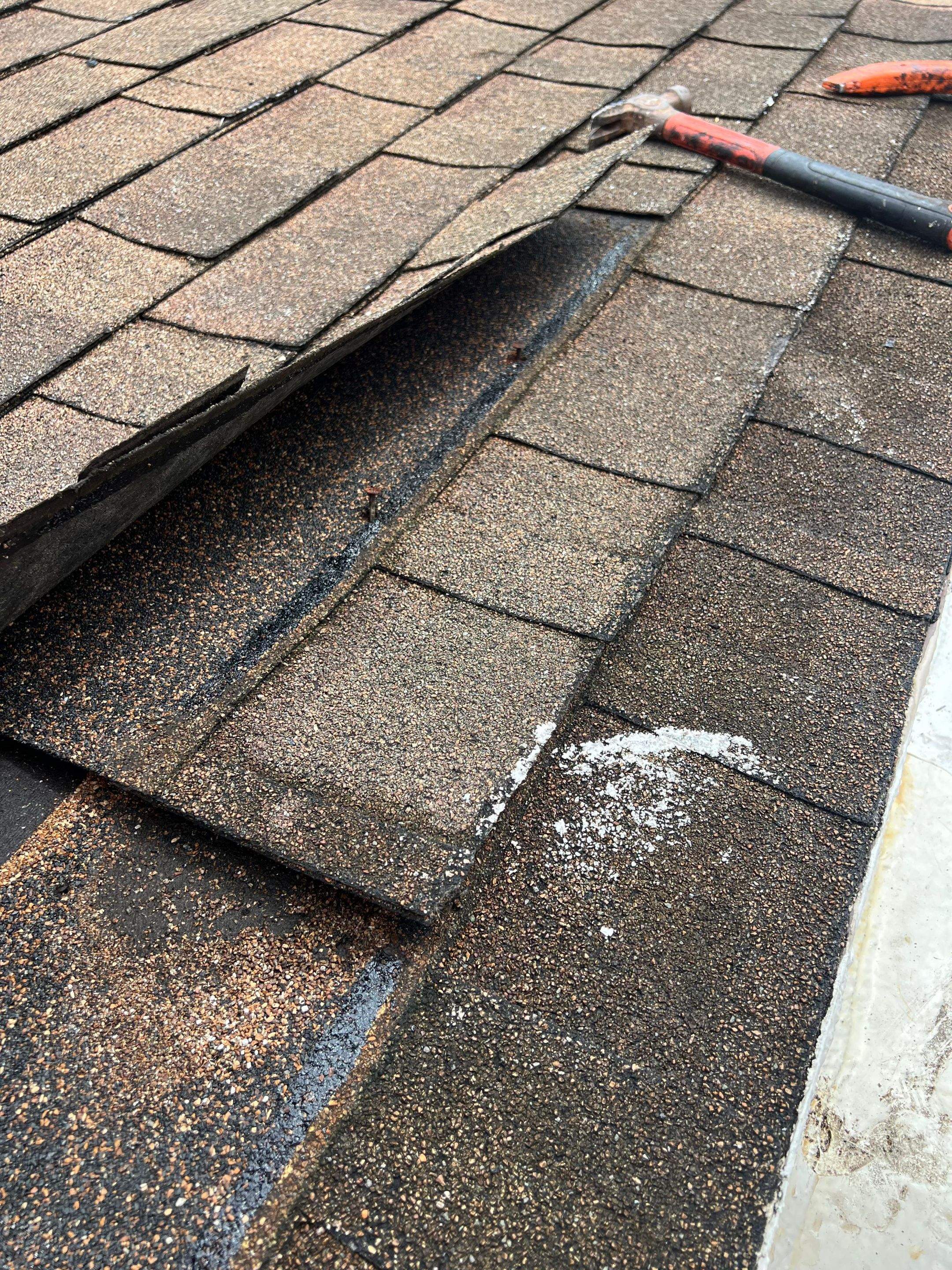 Project in Plantation by Silverline Roofing