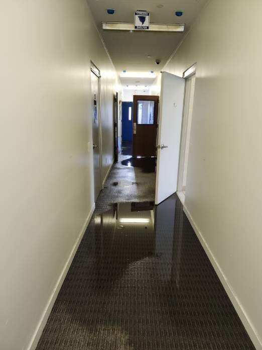 Project in Berkley by EzDry Water Mitigation & Property Restoration