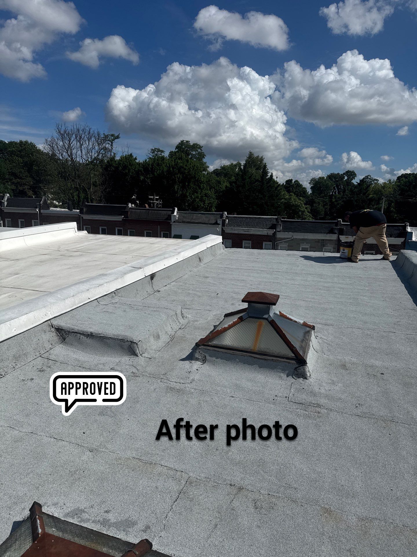 New Flat Roof by Alpha Design Services
