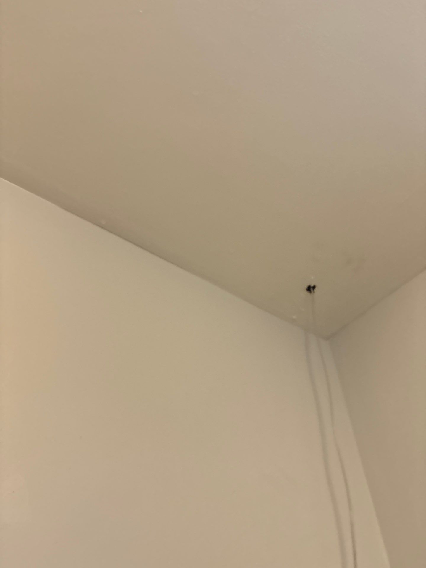 Interior Wall Refresh and Low Voltage Prep in Denver by CompanyCam Sales Demo