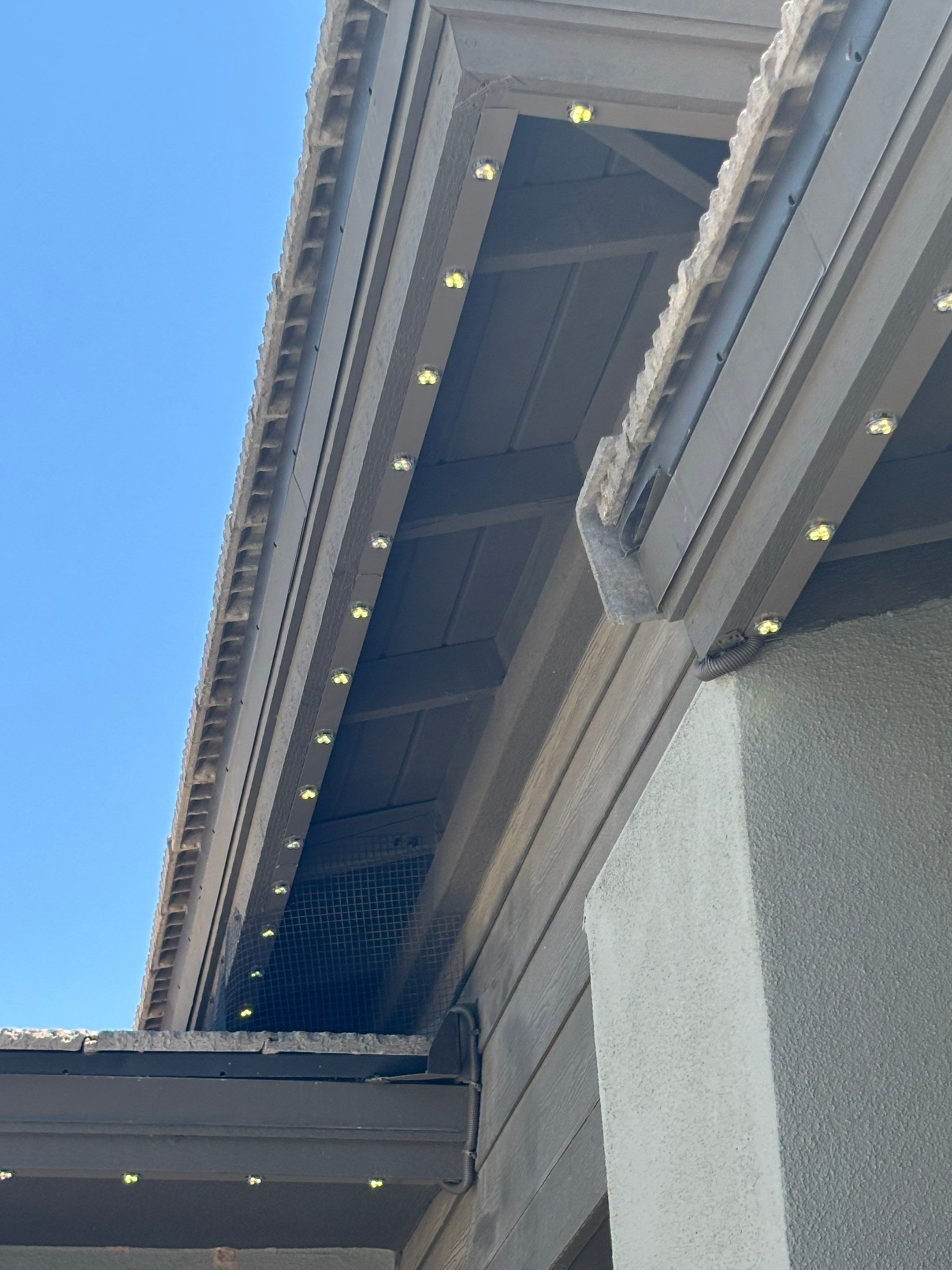 Project in Queen Creek by Big Pig Smart Lighting