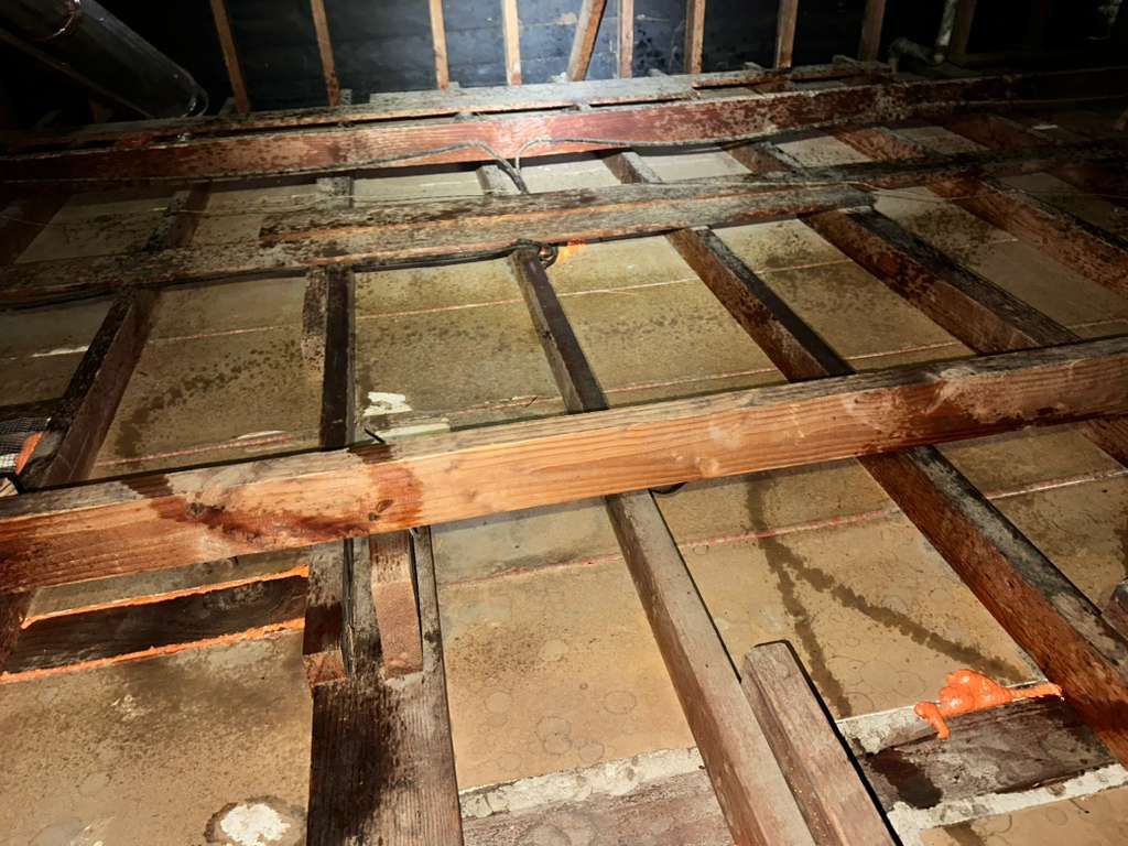 Project in Lakewood by Insulation Labs