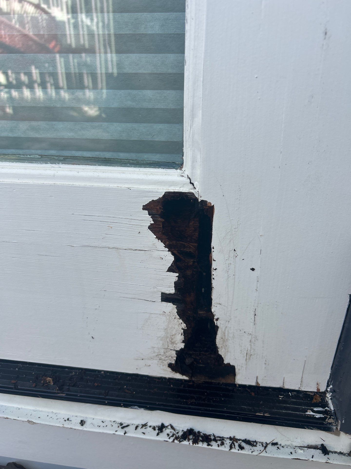 Gorgeous Gutters and Fascia by Bayfront Roofing and Construction