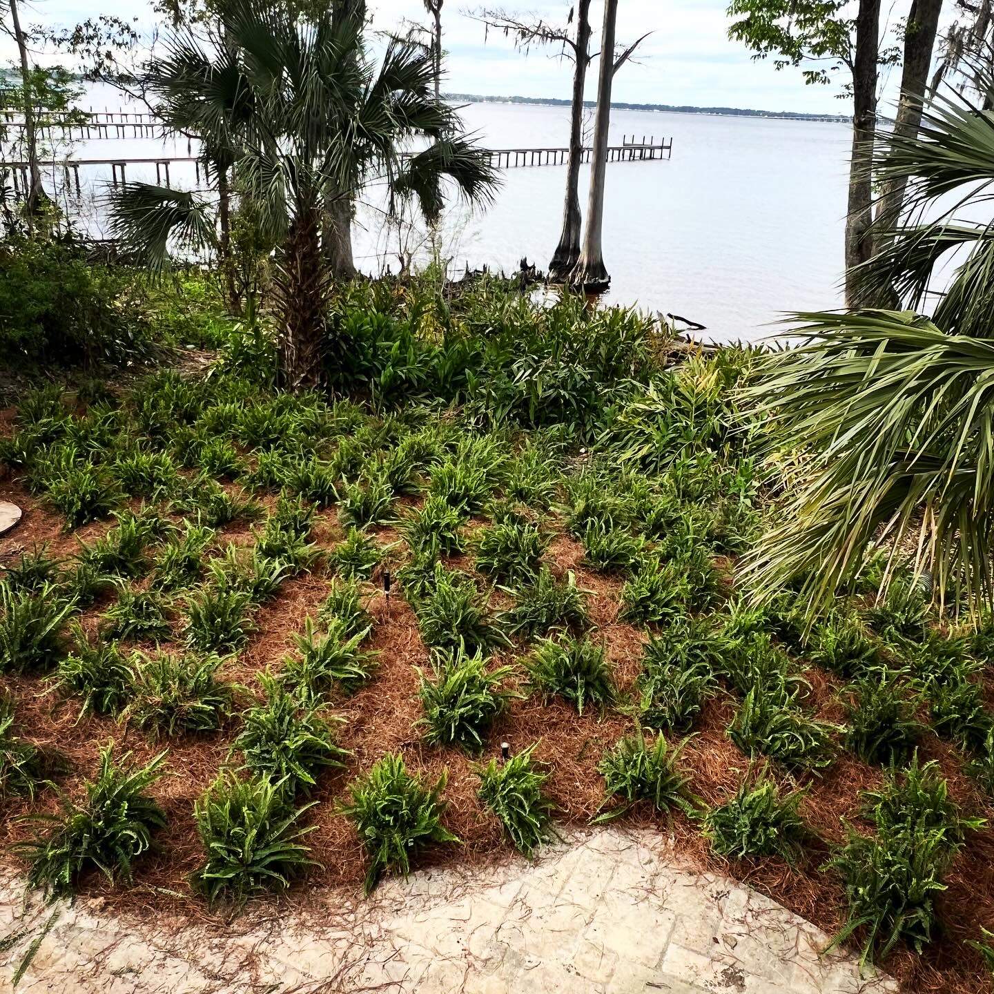 Landscape Install | Residence by ProGreen Services