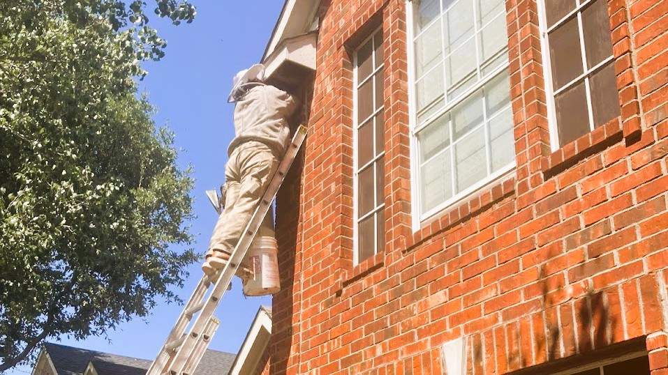 Extra High Up by Rockwall Honey Bee Company