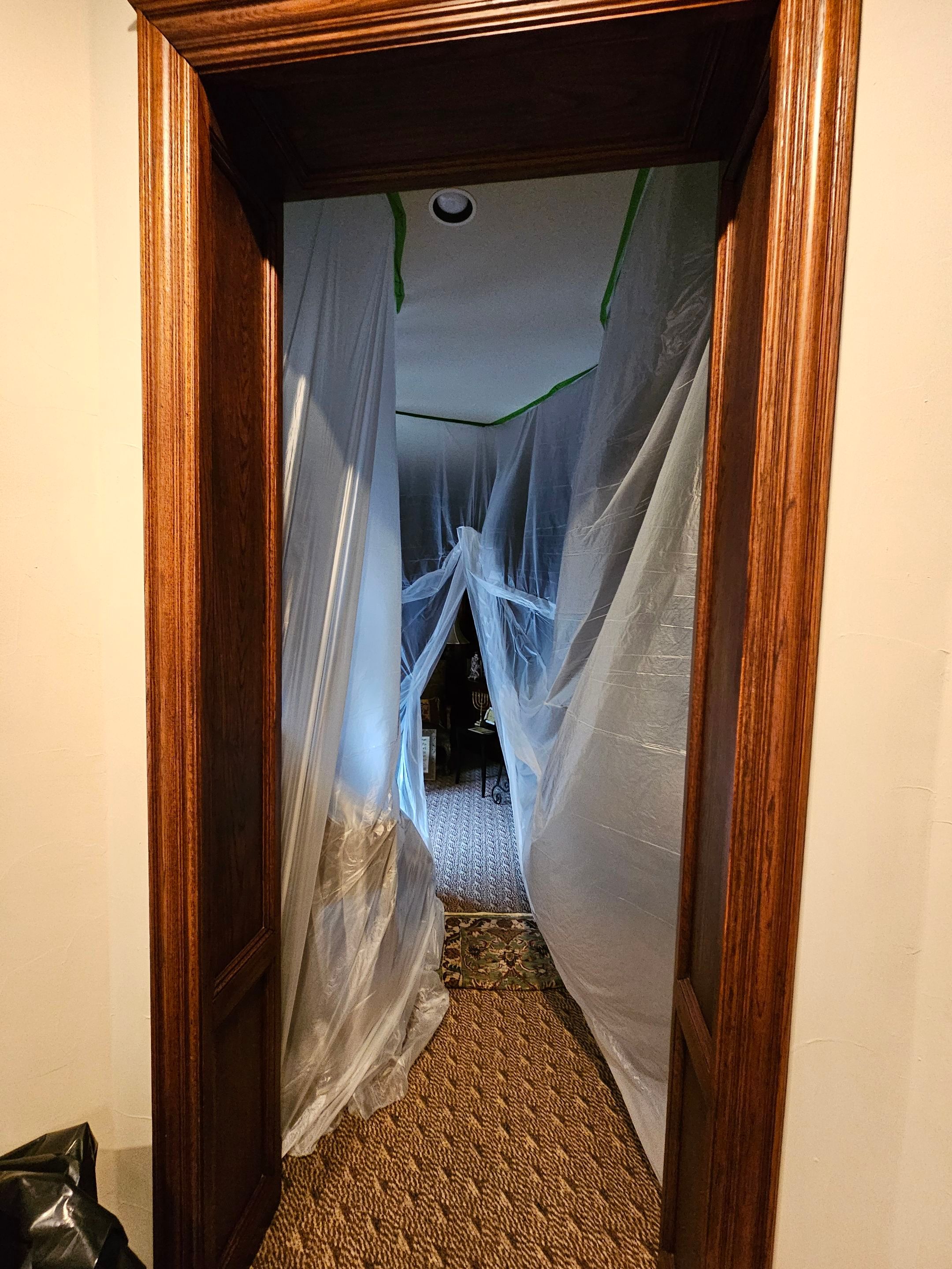 Exterior & interior paint, Garage door repairs, roof replacement & leak repairs by EL-GC LLC 