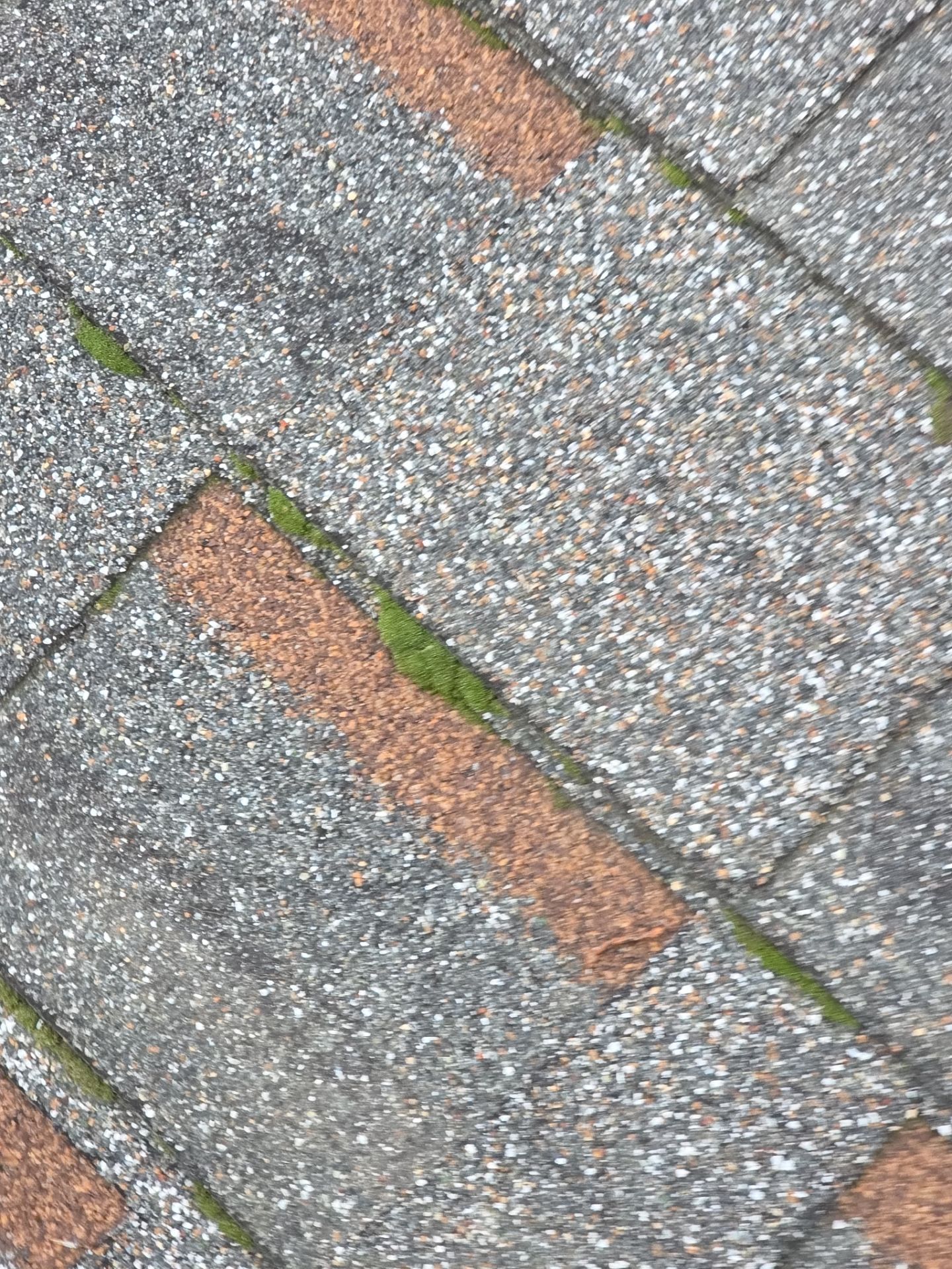 Roof Rejuvenation using Roof Maxx Treatment by Roof Maxx of Folsom