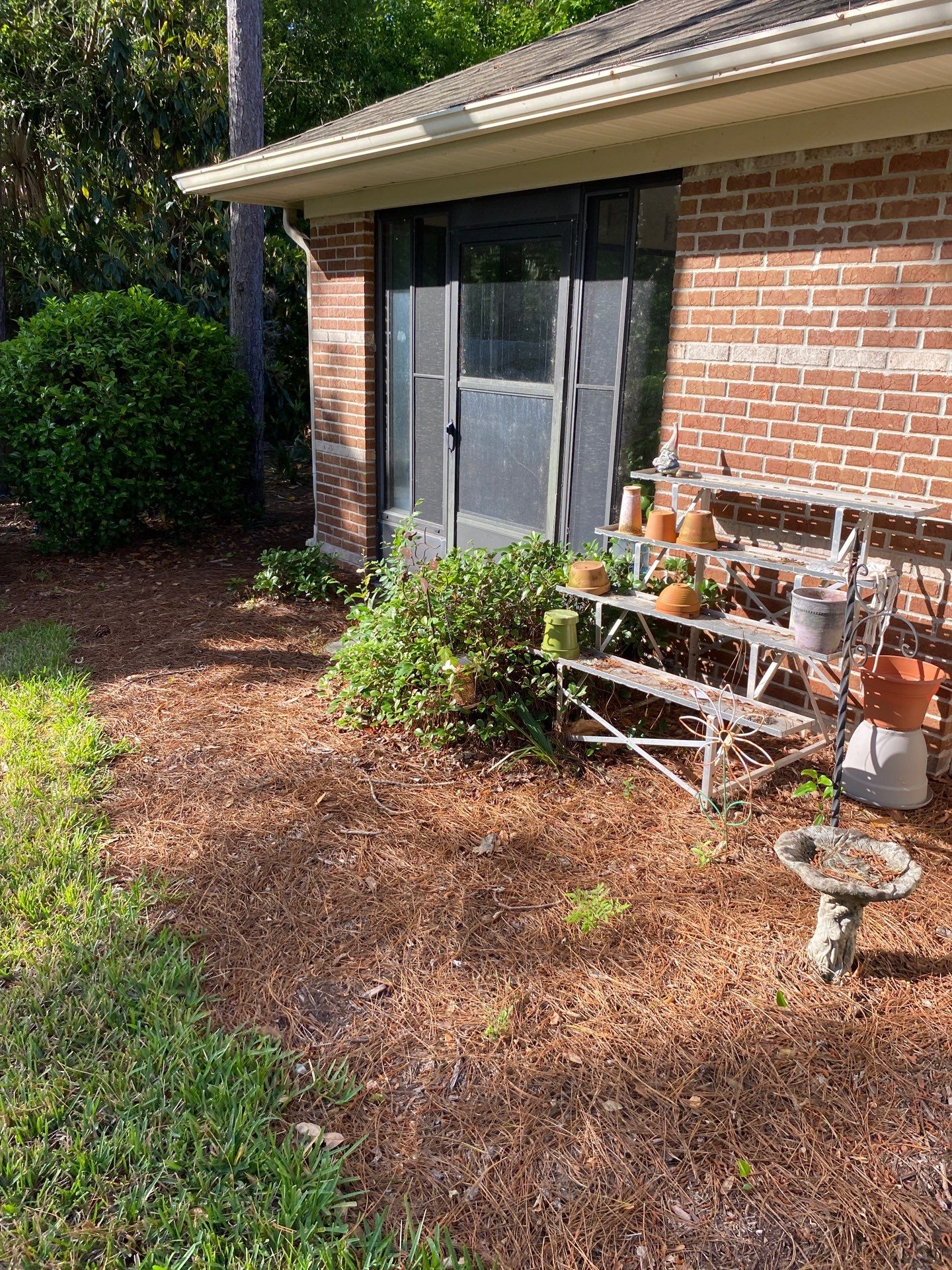 Residential | Volunteer Clean-Up by ProGreen Services