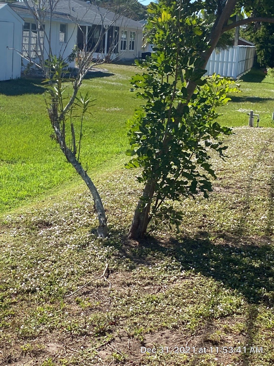 Venice, FL 6ft. Tall White Vinyl Privacy Fence  by Asap fence and gates, LLC