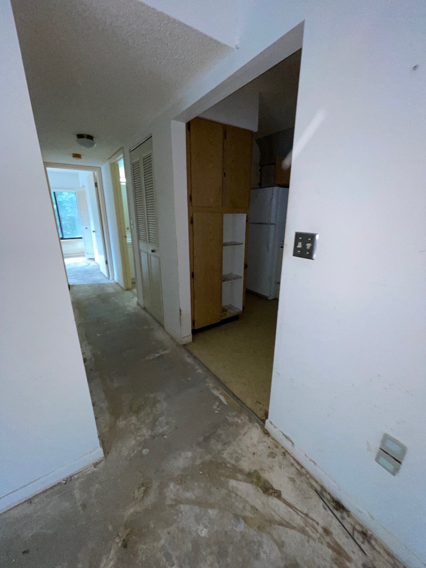 Horder house with Mold and Bacterial Contamination Issues  by Bay Coast Restoration 