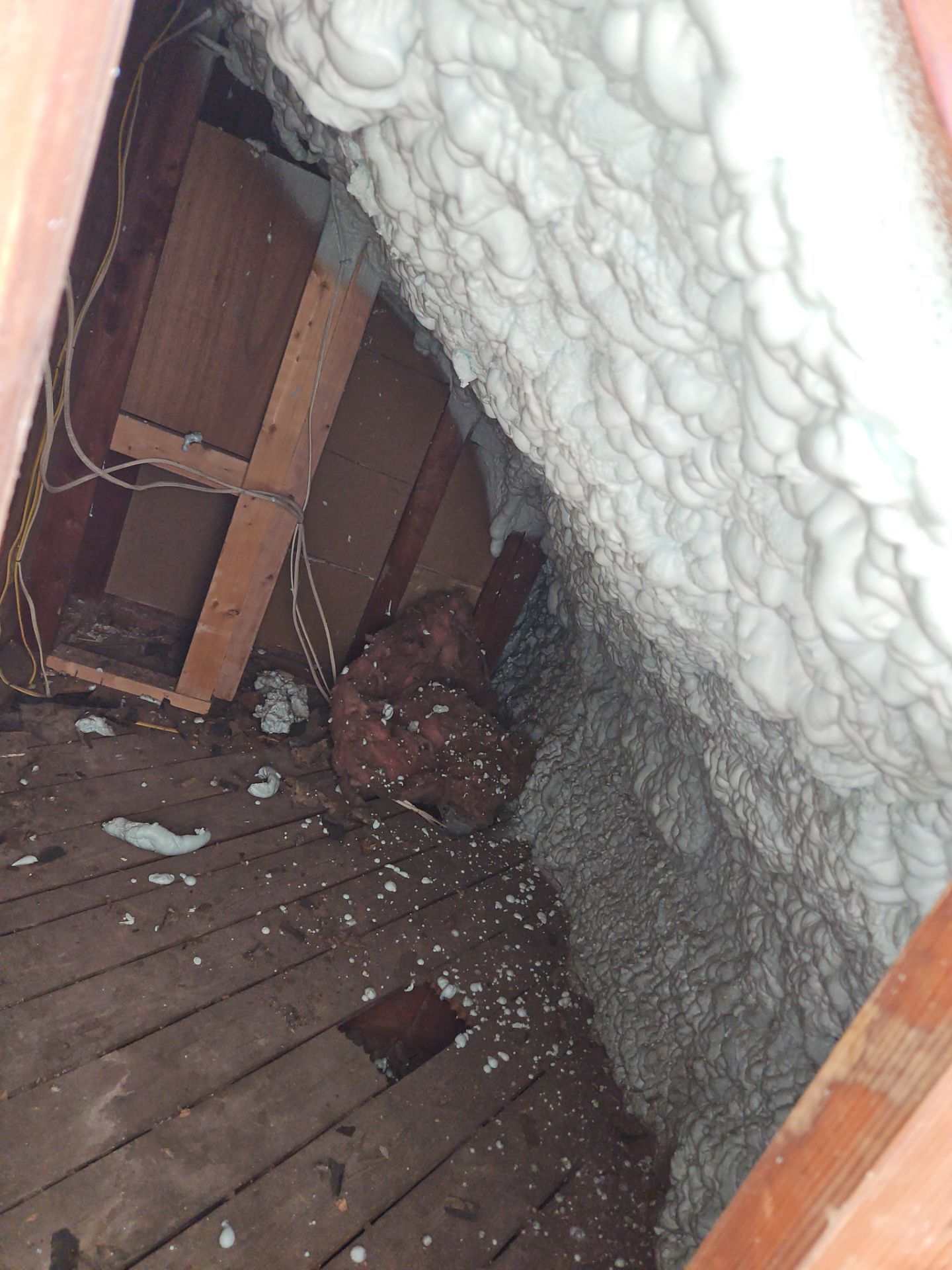 Project in Alexandria, VA by Founders Insulation