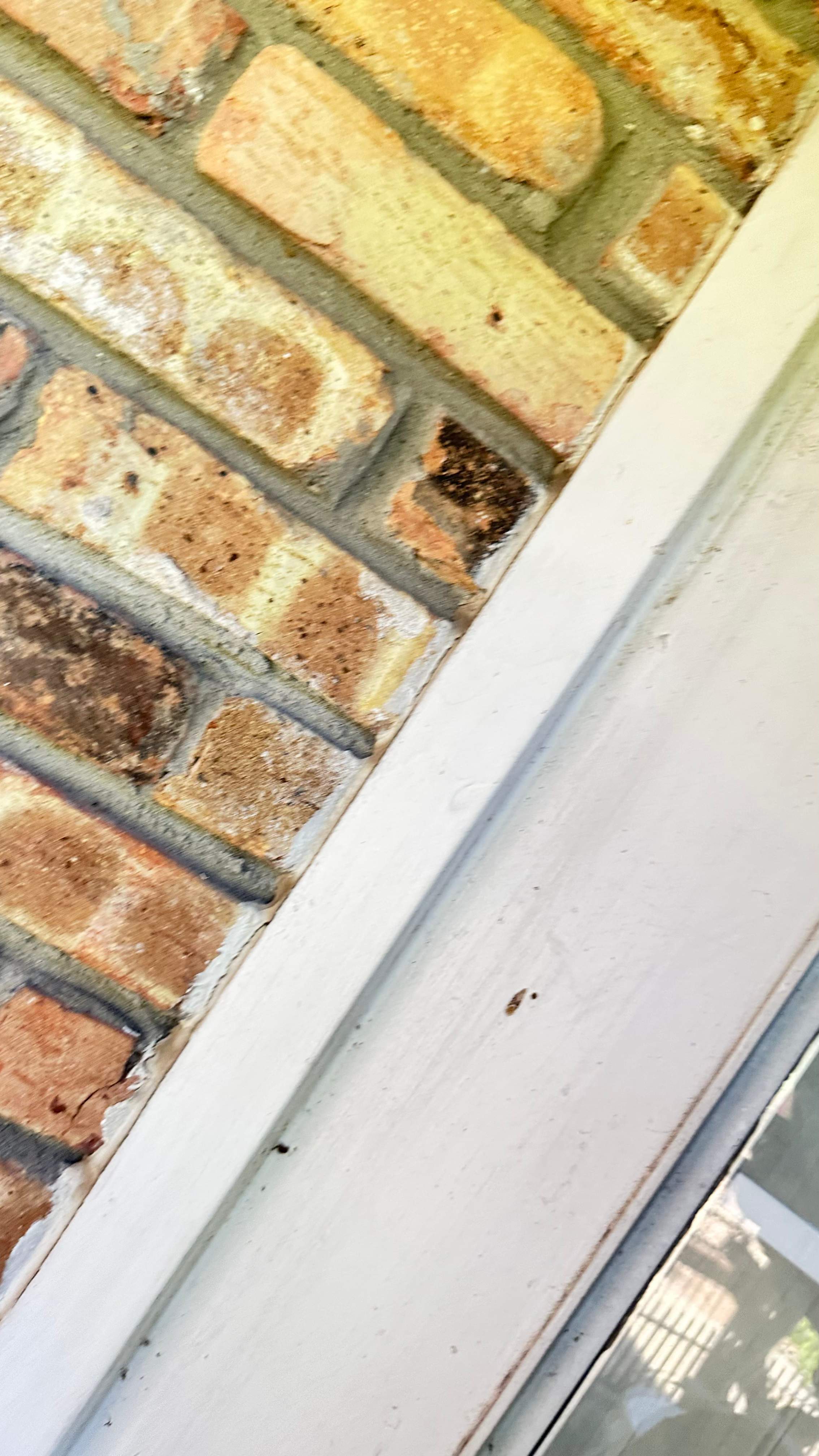 Golf Couse by Rockwall Honey Bee Company