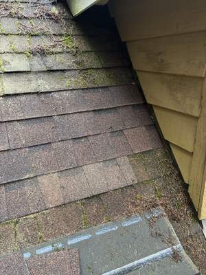 Residential Roof Repair in Poulsbo, WA