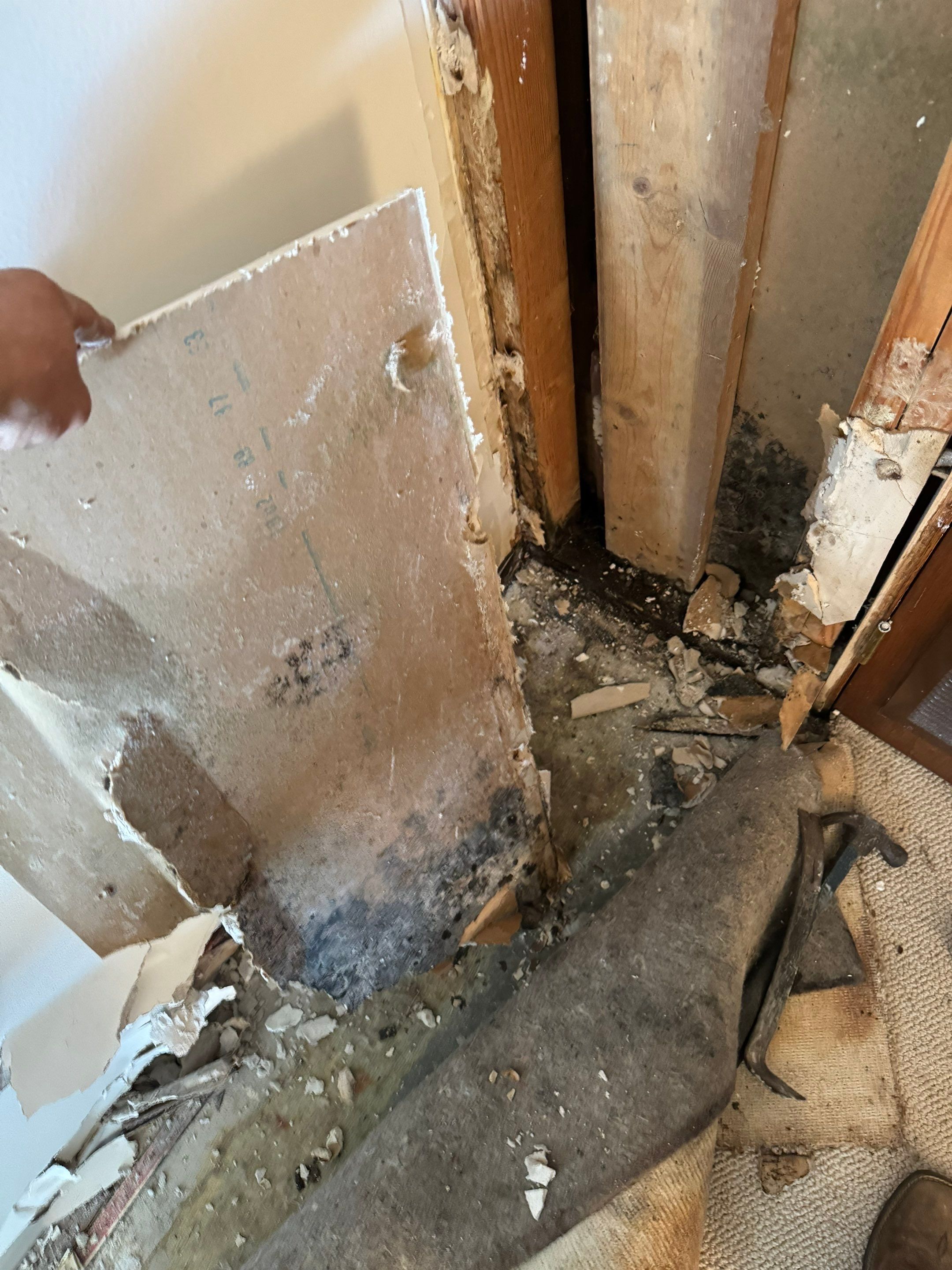 Major Basement Remediation / Restoration by Home Guarantee, LLC