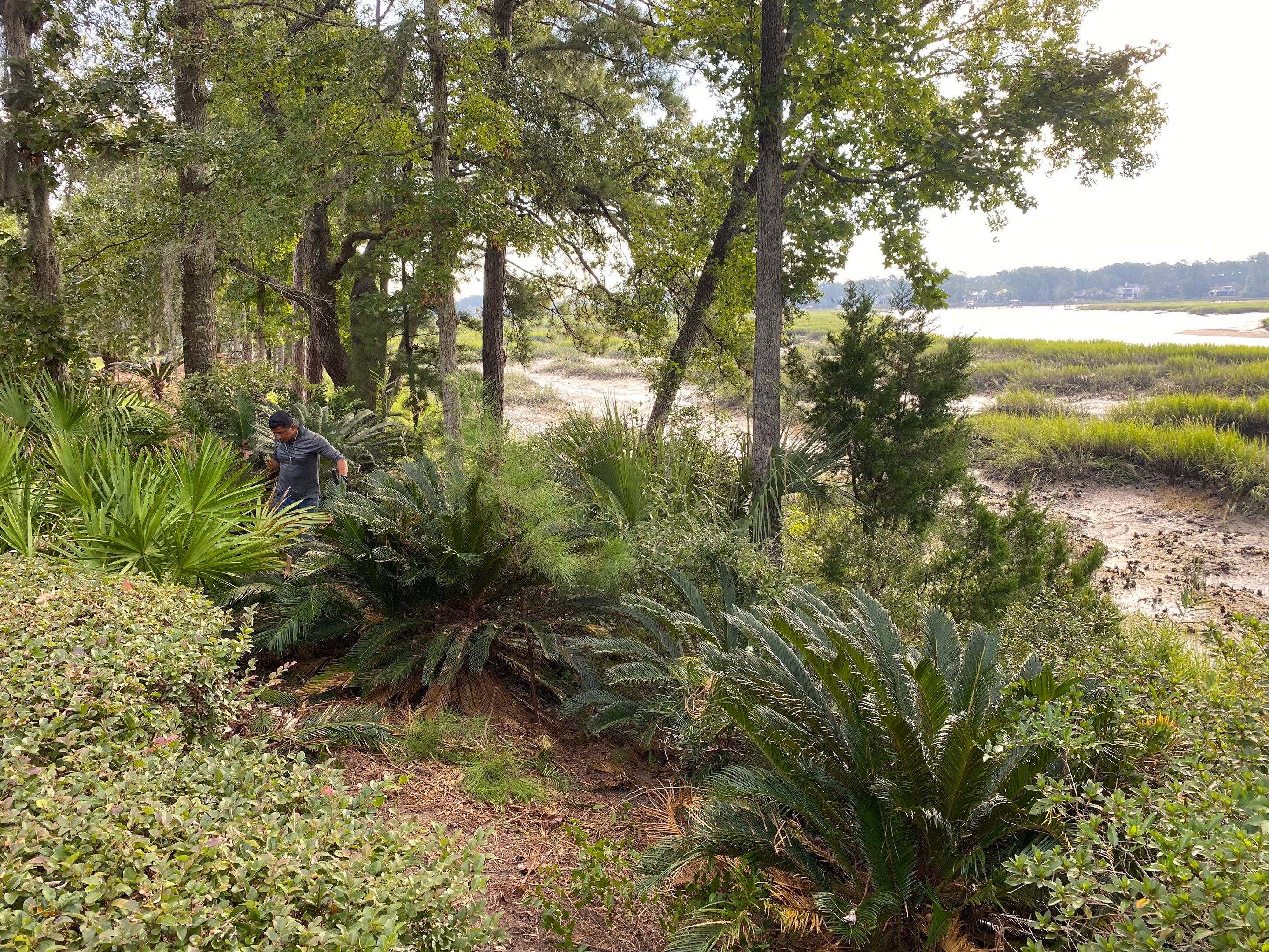 Natural Flagstone Walkway and Patio Installation in Bluffton by Lowcountry Scapes, LLC