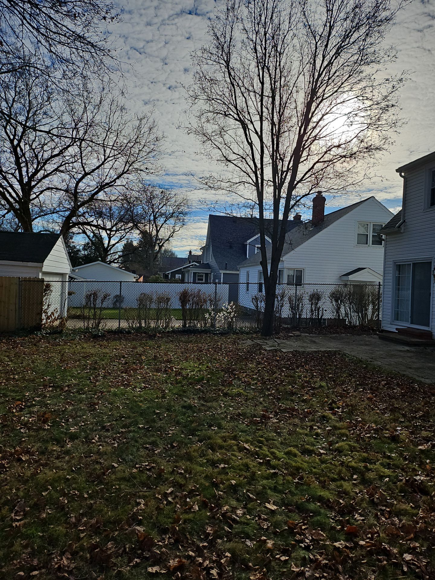 Tree Trimming using Tree Pruing by Mike Jones & Sons Tree Service LLC 