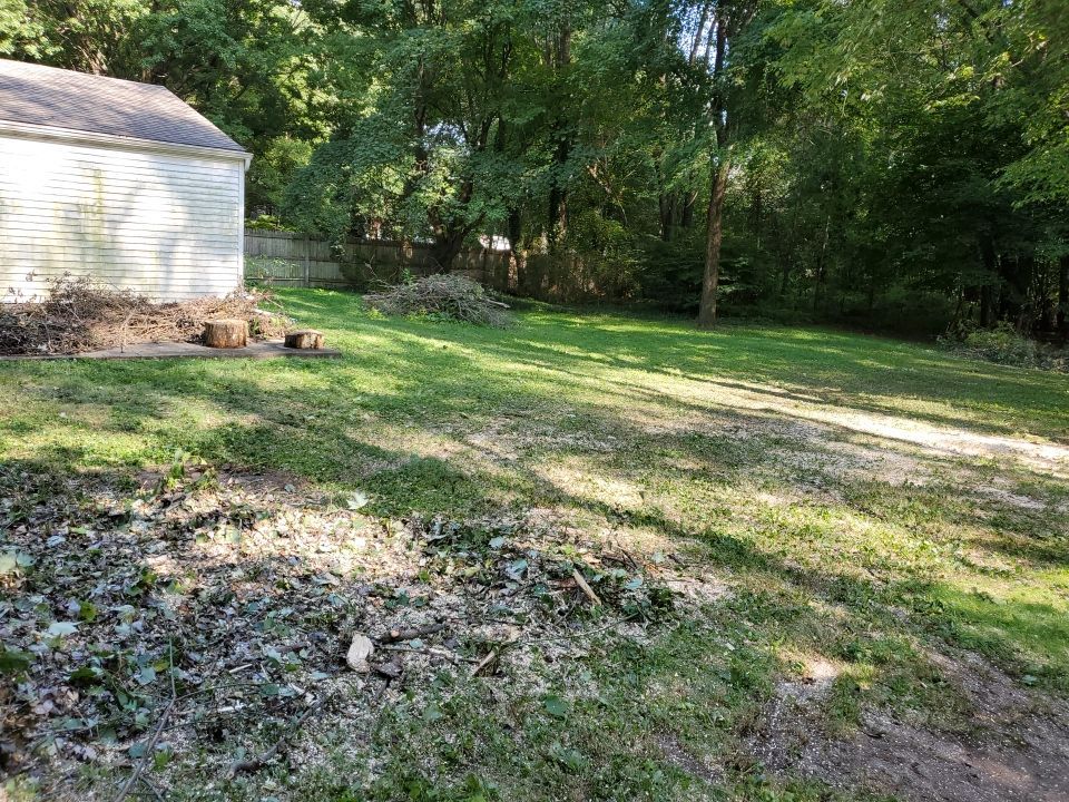 Storm Damaged Tree Removal  by Mike Jones & Sons Tree Service LLC 