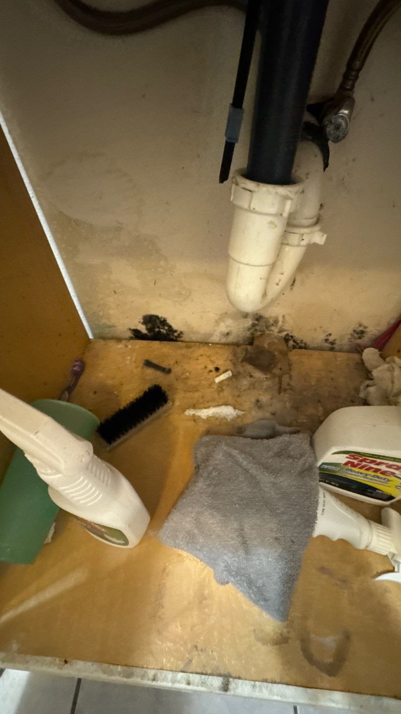 Mold Damage Project in Denver by Accountable Home Services