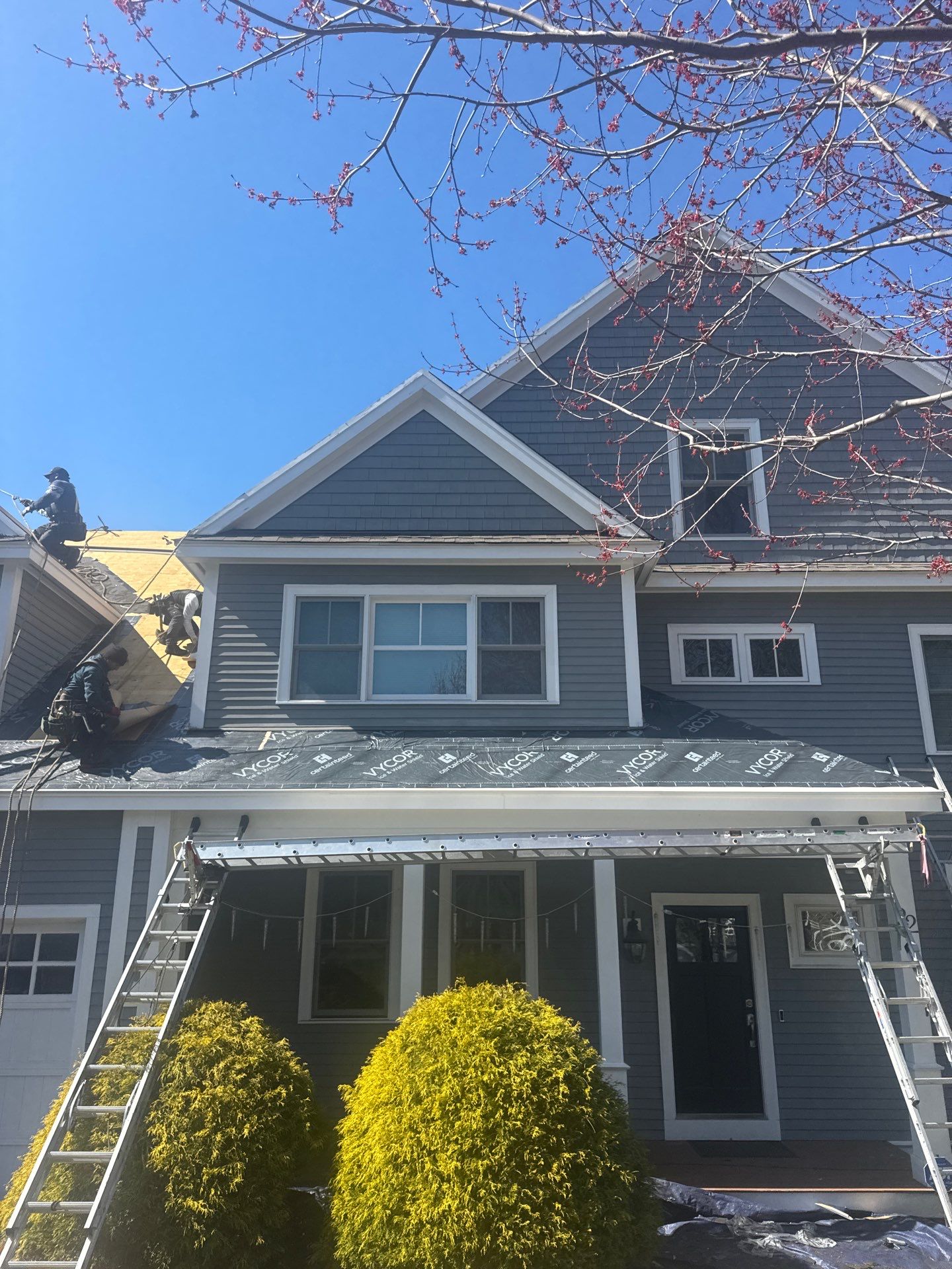 .Full Roof Replacement & Ventilation Upgrade in Lexington by Mighty Dog Roofing of Greater Middlesex County
