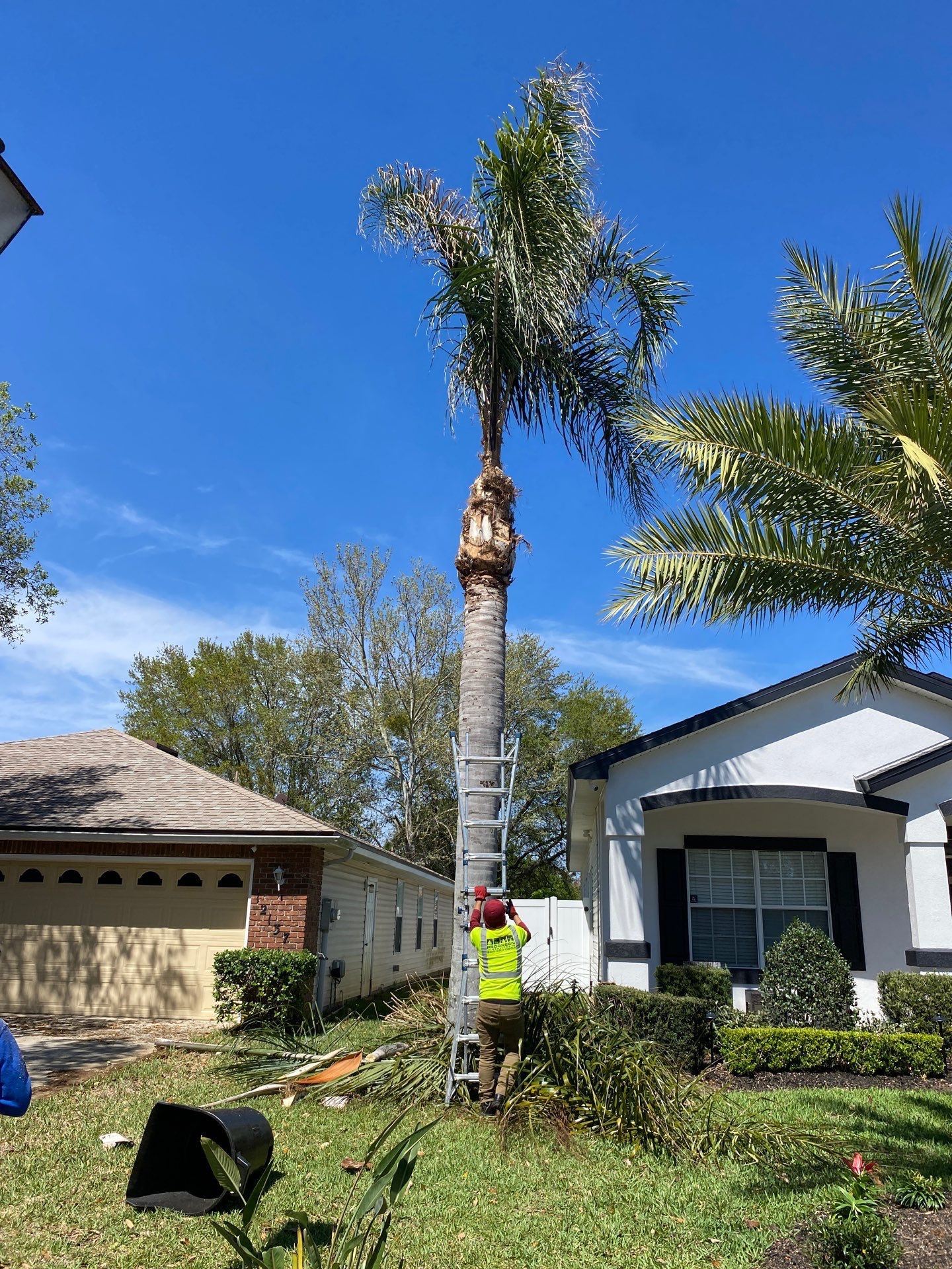 Residential | Tree Service by ProGreen Services