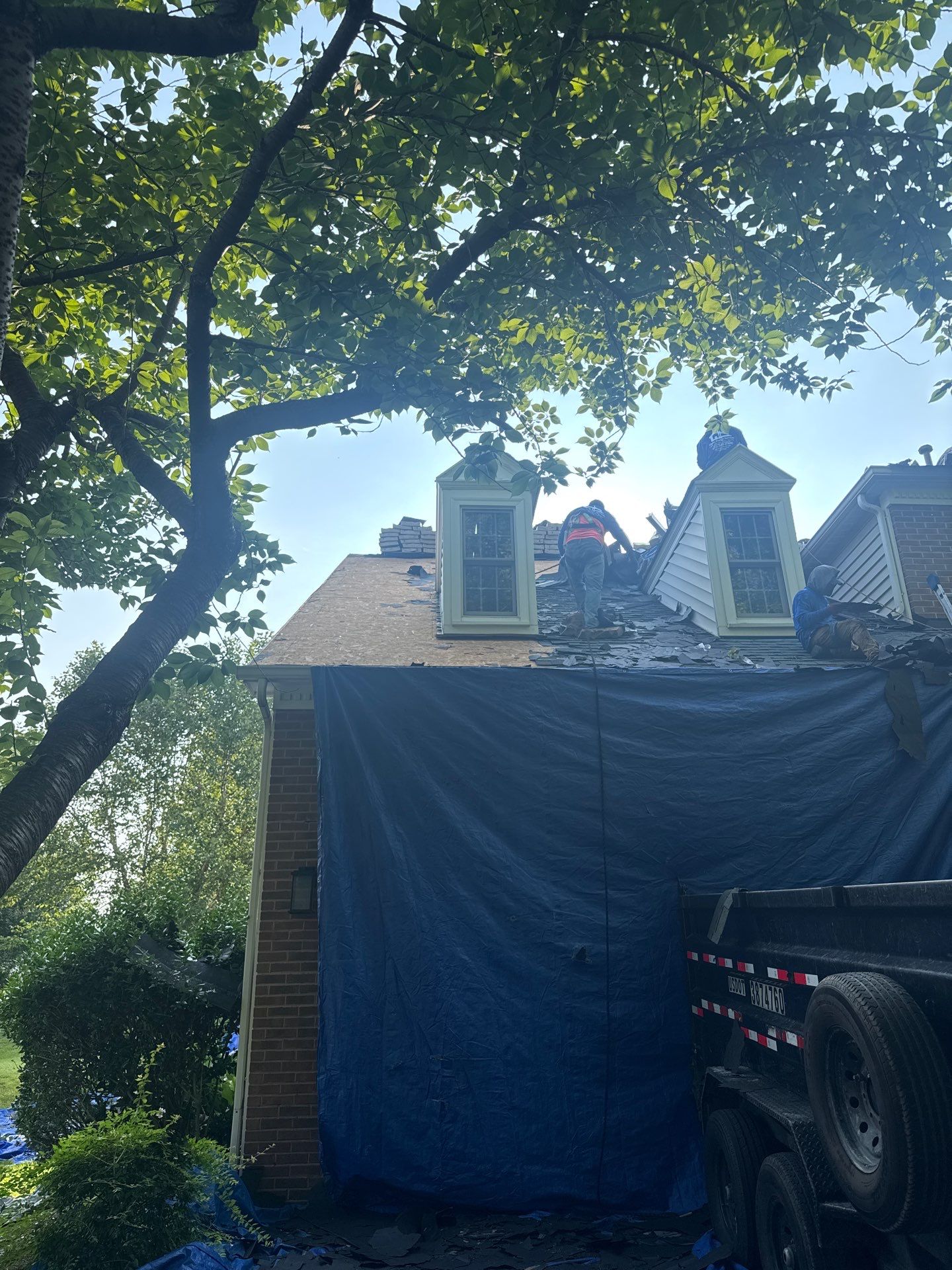 New Shingle Roof & New Gutters and downspouts with covers by Alpha Design Services