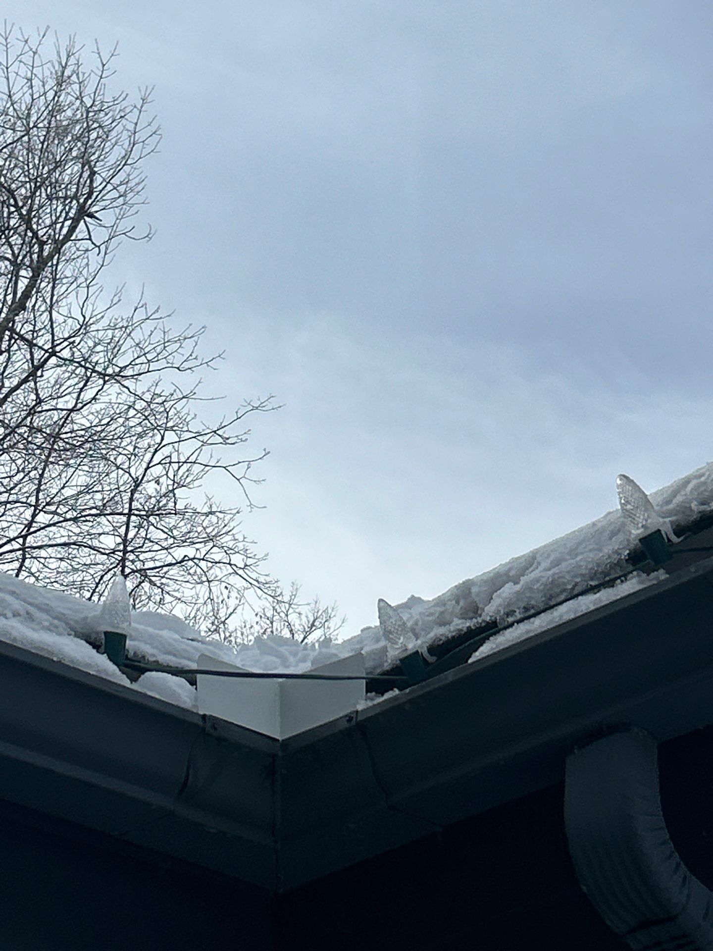 Ridge Vent Replacement & Chimney Re-flashing by Mighty Dog Roofing of Greater Middlesex County