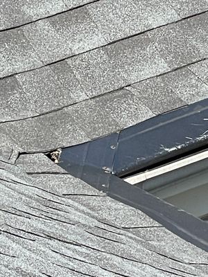 Turtle Shell gutter protection installation in Oak Brook, IL 60523, photograph 15