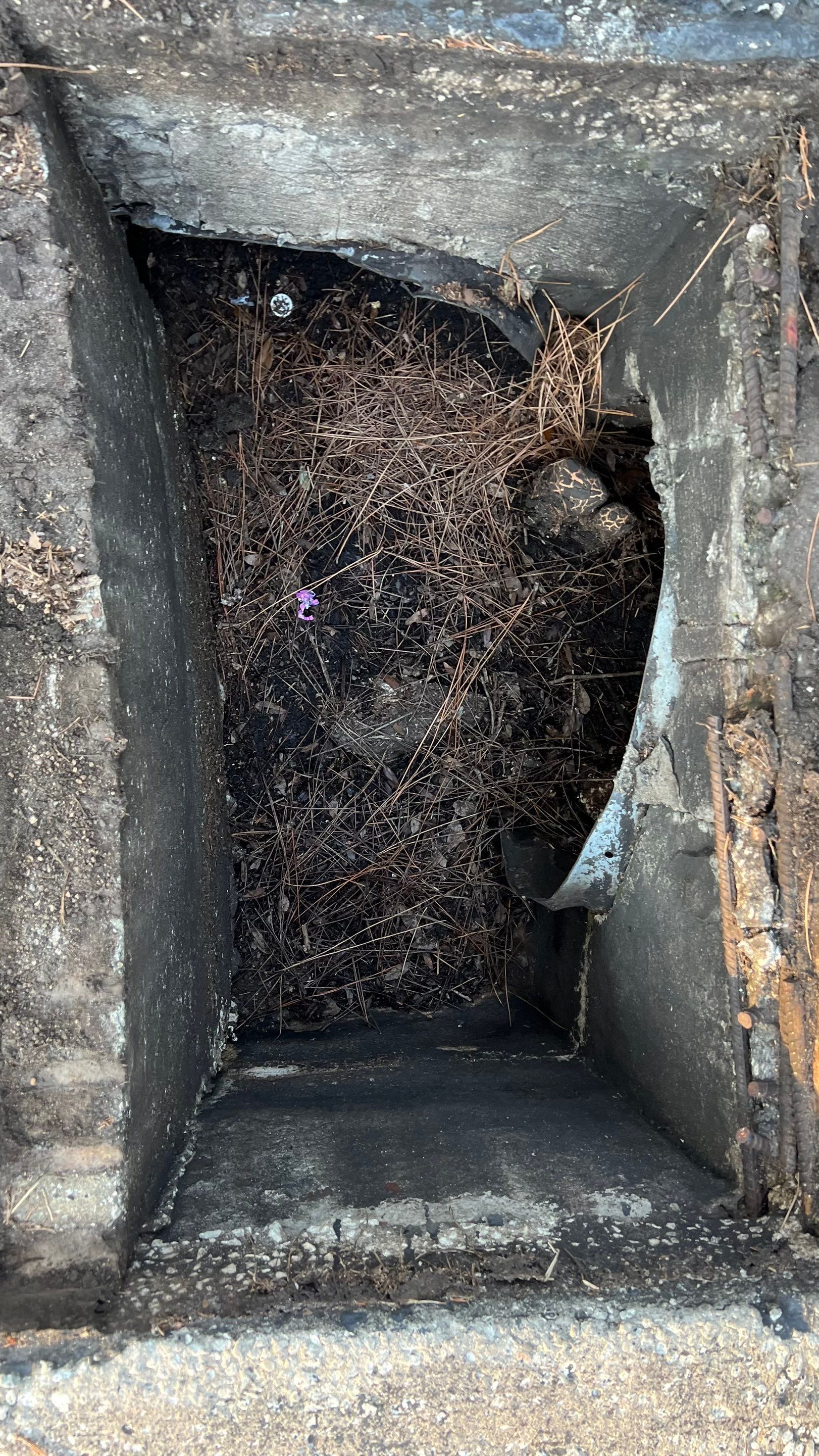 Apartment Complex Storm Water System Cleaning and Maintenance by APS Power & Water