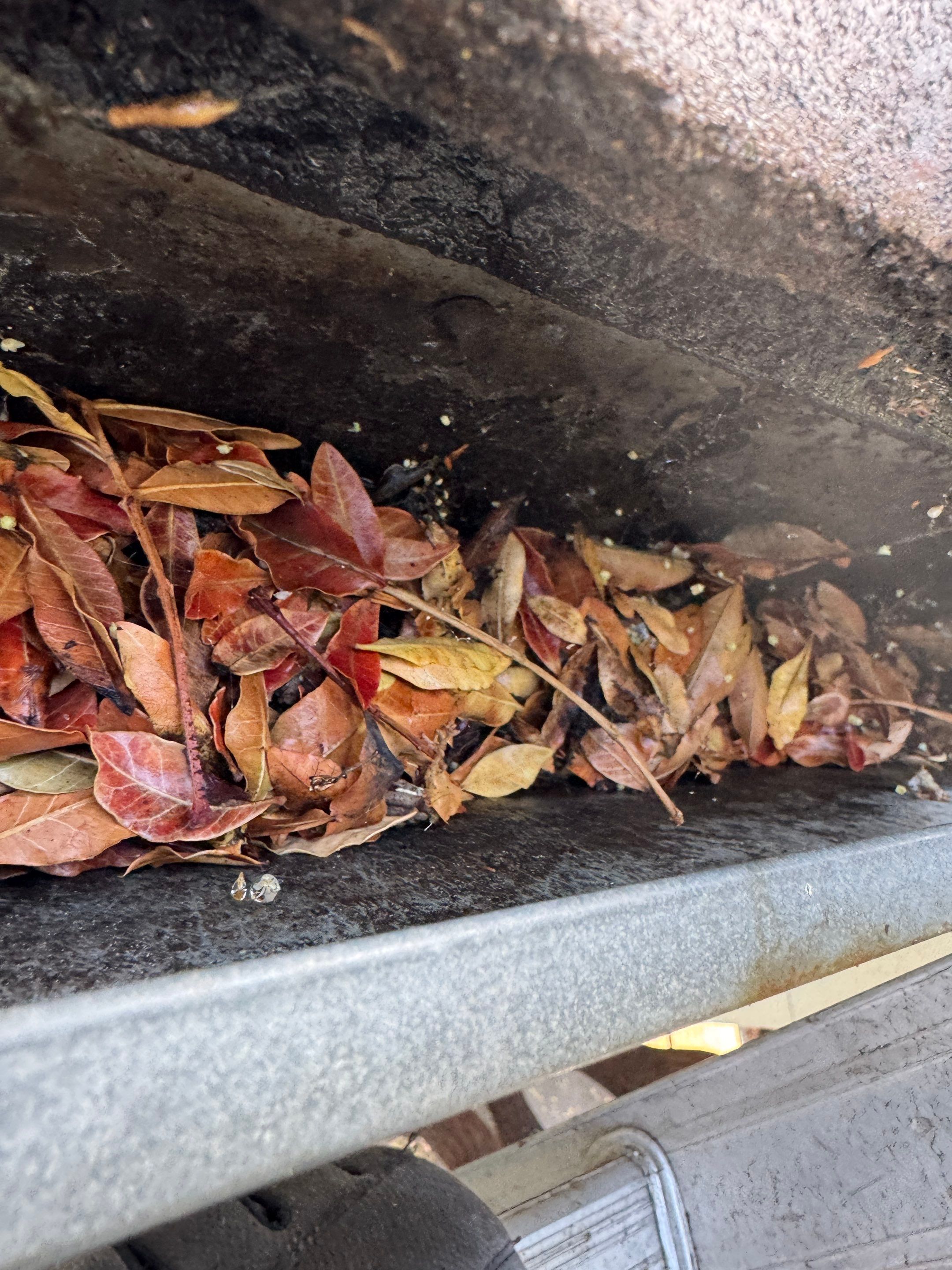 Commercial gutter cleaning San Jose before photo with filled gutters