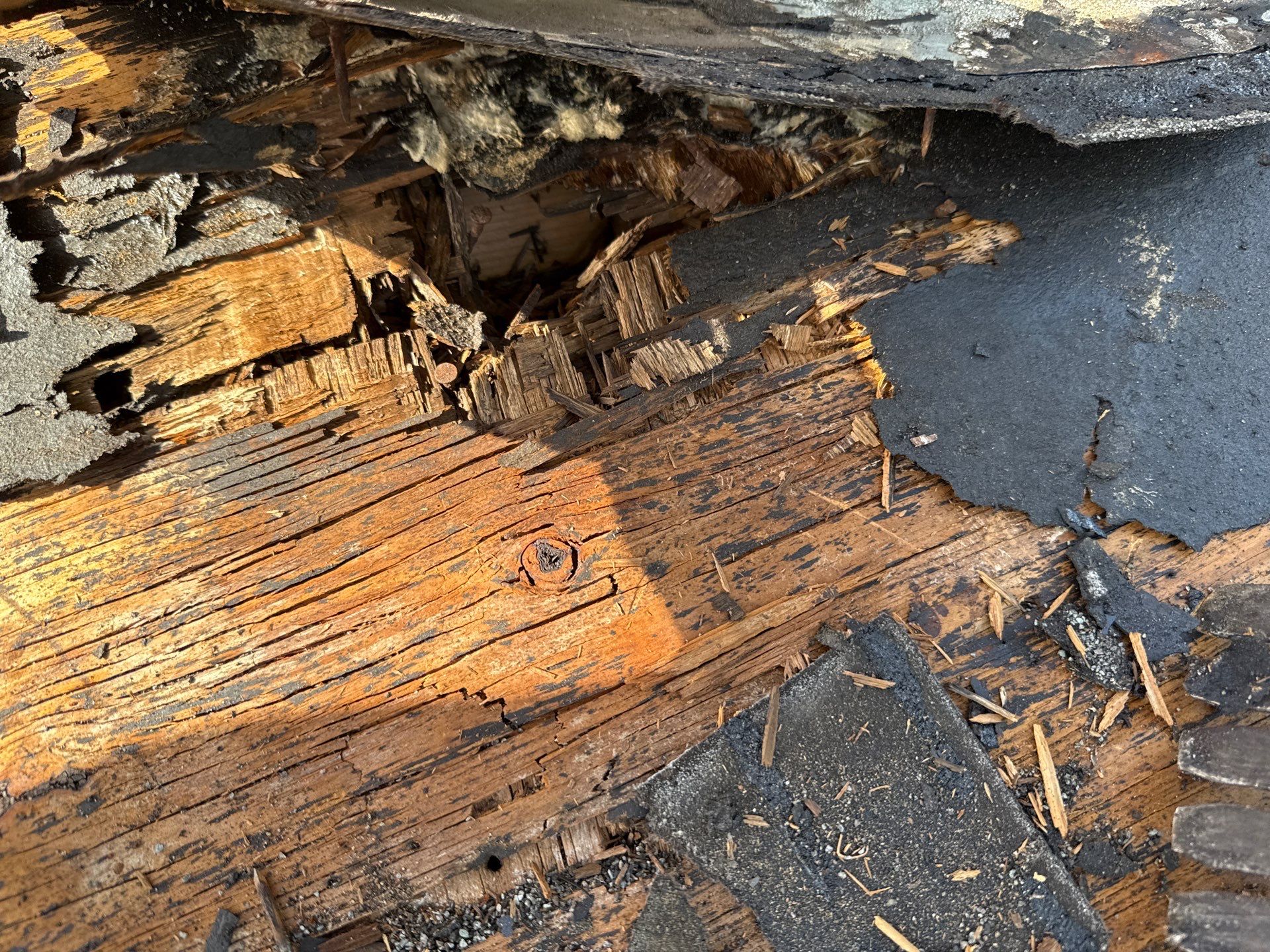 Project in Lutz 33549 by Mitchell Roofing Company LLC 