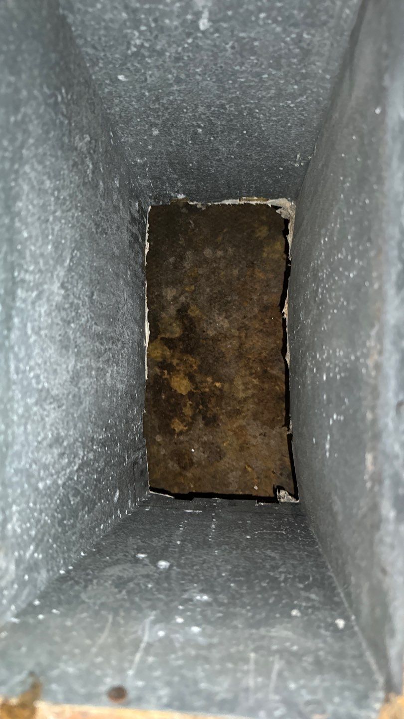 Air Duct Cleaning in Ormond Beach by Hygienic Air, Inc