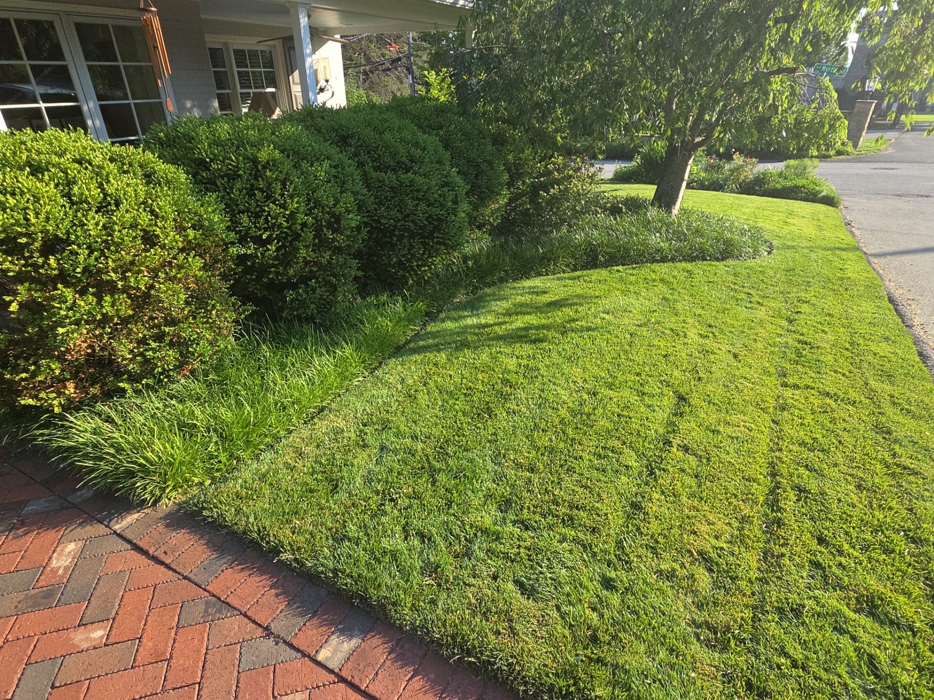 Roof Replacement in Charleston, WV | IKO Dynasty Architectural Shingles by Mr. Roofer