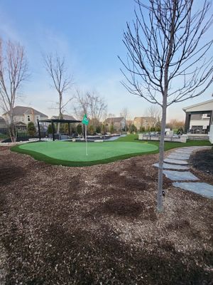 Residential Golf Green/Pet Lawn