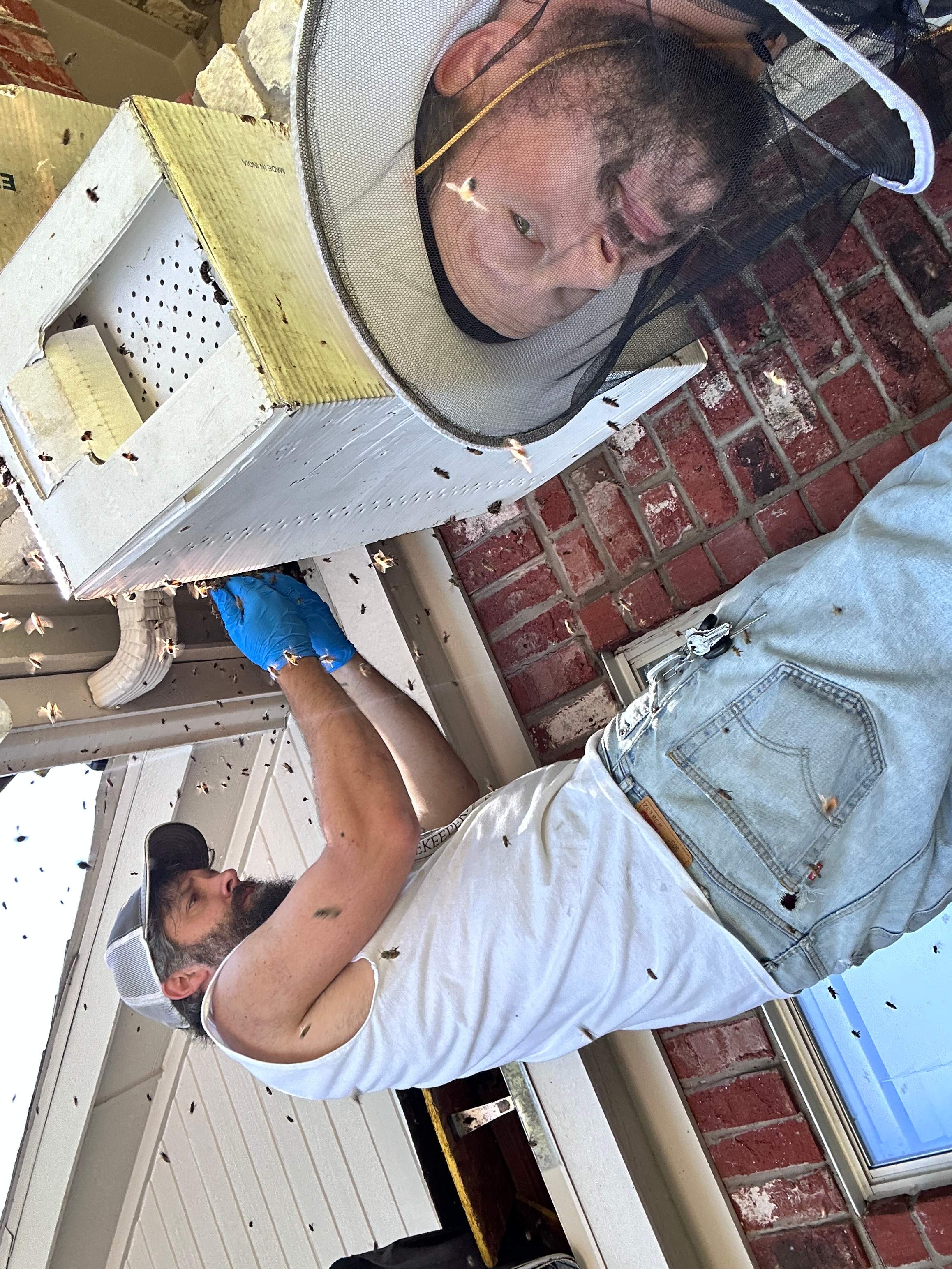 Dormer Window by Rockwall Honey Bee Company