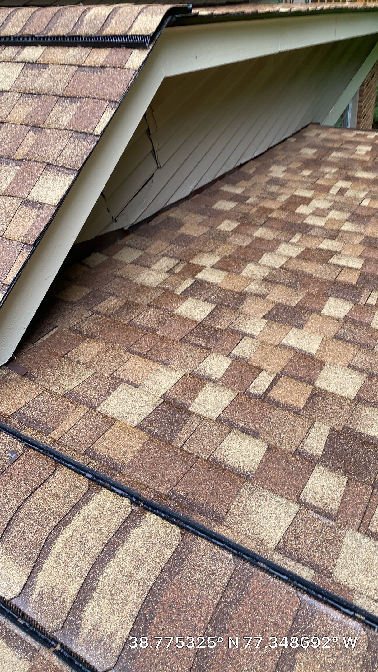 Fairfax Station: CertainTeed Landmark Pro Designer Shingles in Max Def Resawn Shake by RM Banning, Inc.