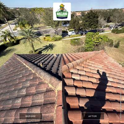 Barrel Tile Roof Cleaning