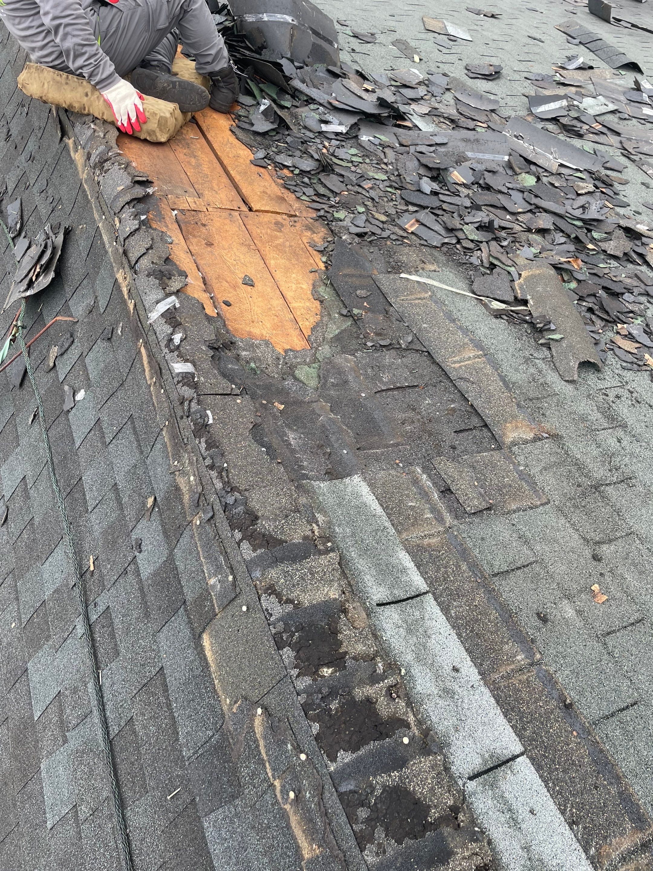 Architectural Shingle Roof Replacement for Red Barn in Falmouth by Tall pine roofing