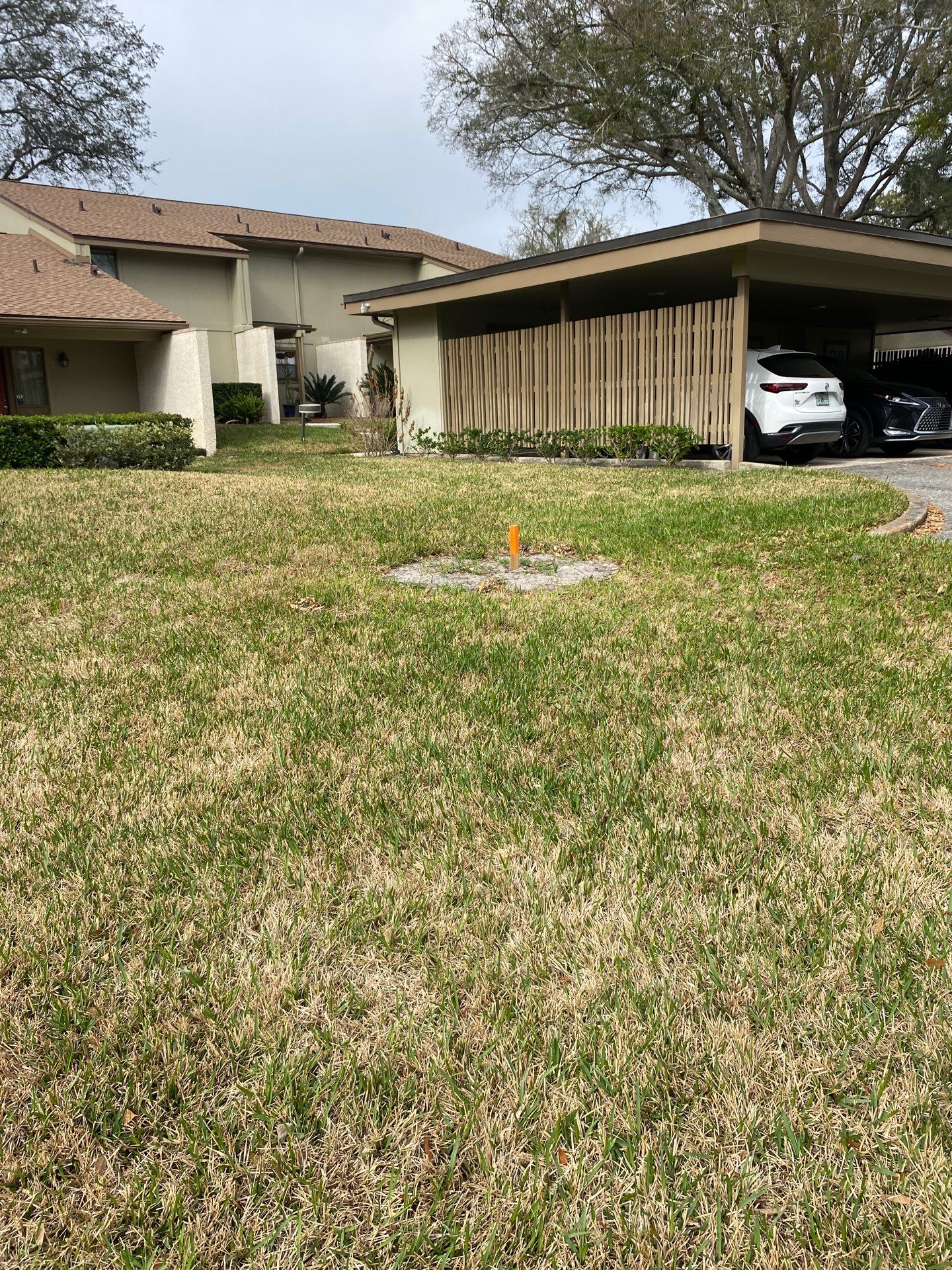 Deerwood Resident | Tree Install by ProGreen Services