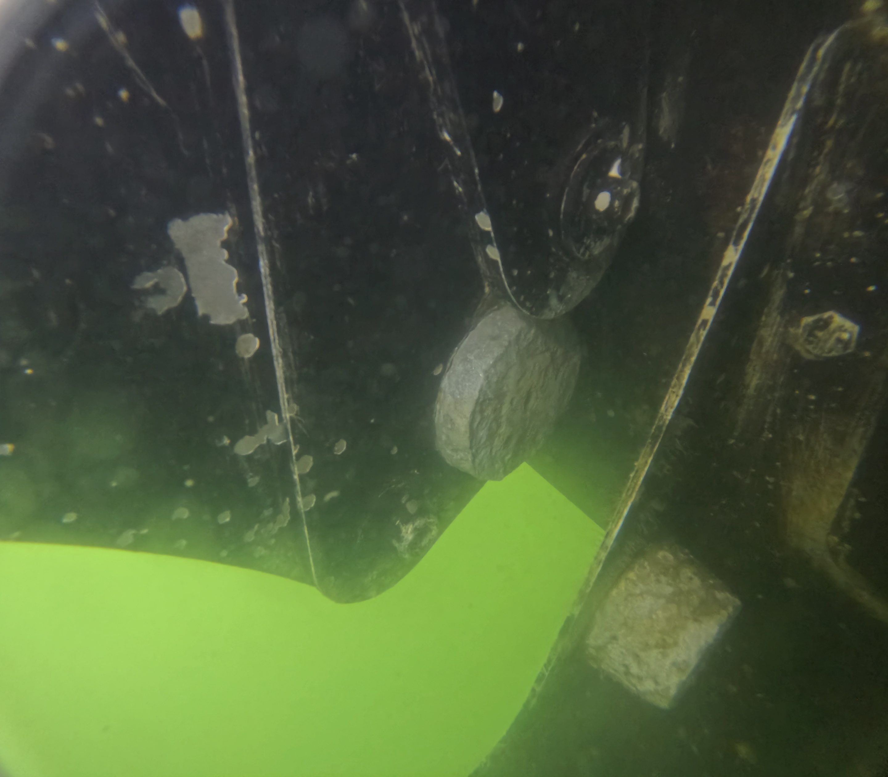 Project in Venice, FL by Florida Hull Cleaning 