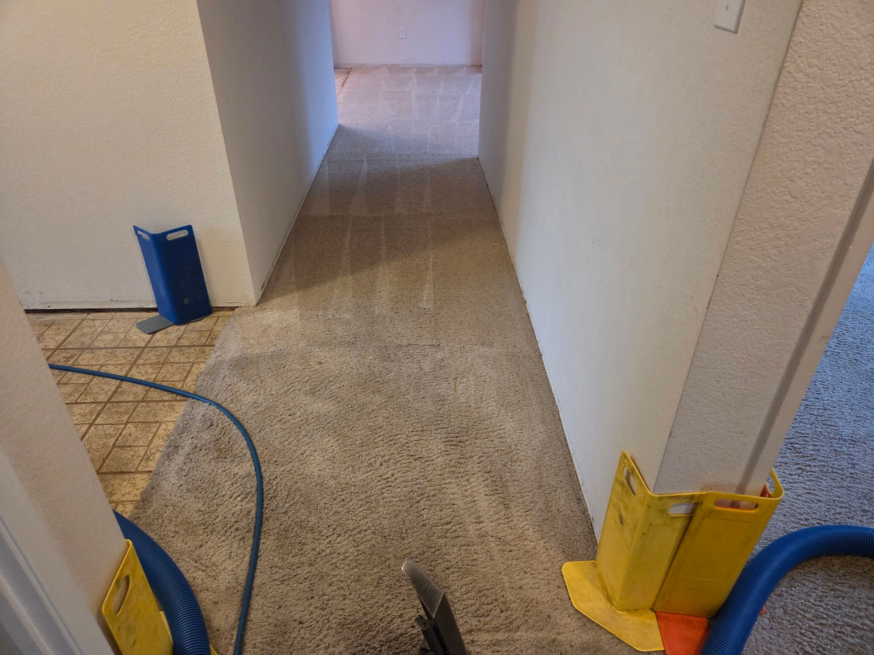 Carpet Re-stretching & Cleaning in Rosemont by Ardent Carpet Restore LLC