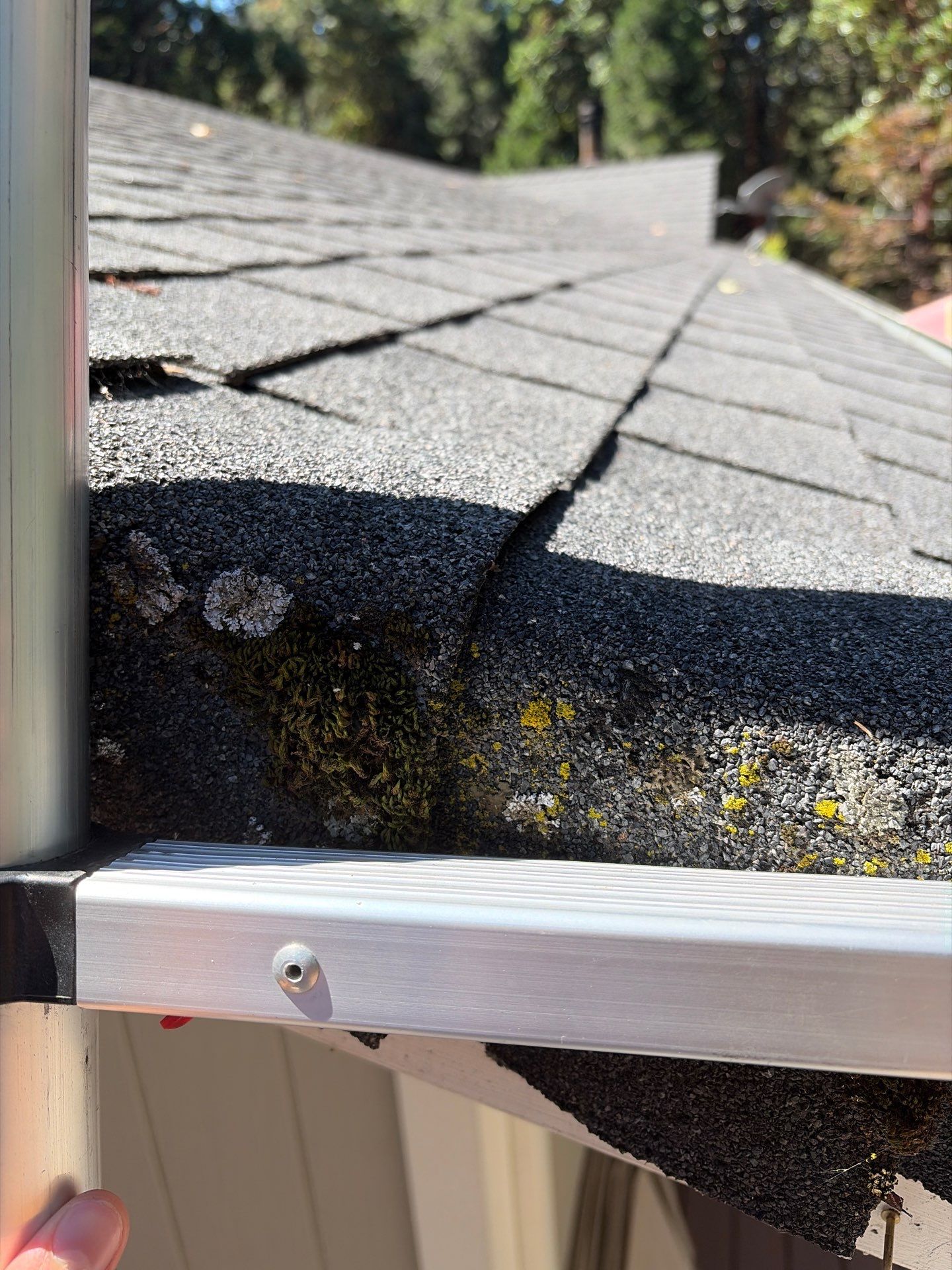 Roof Rejuvenation using Roof Maxx Treatment by Roof Maxx of Folsom