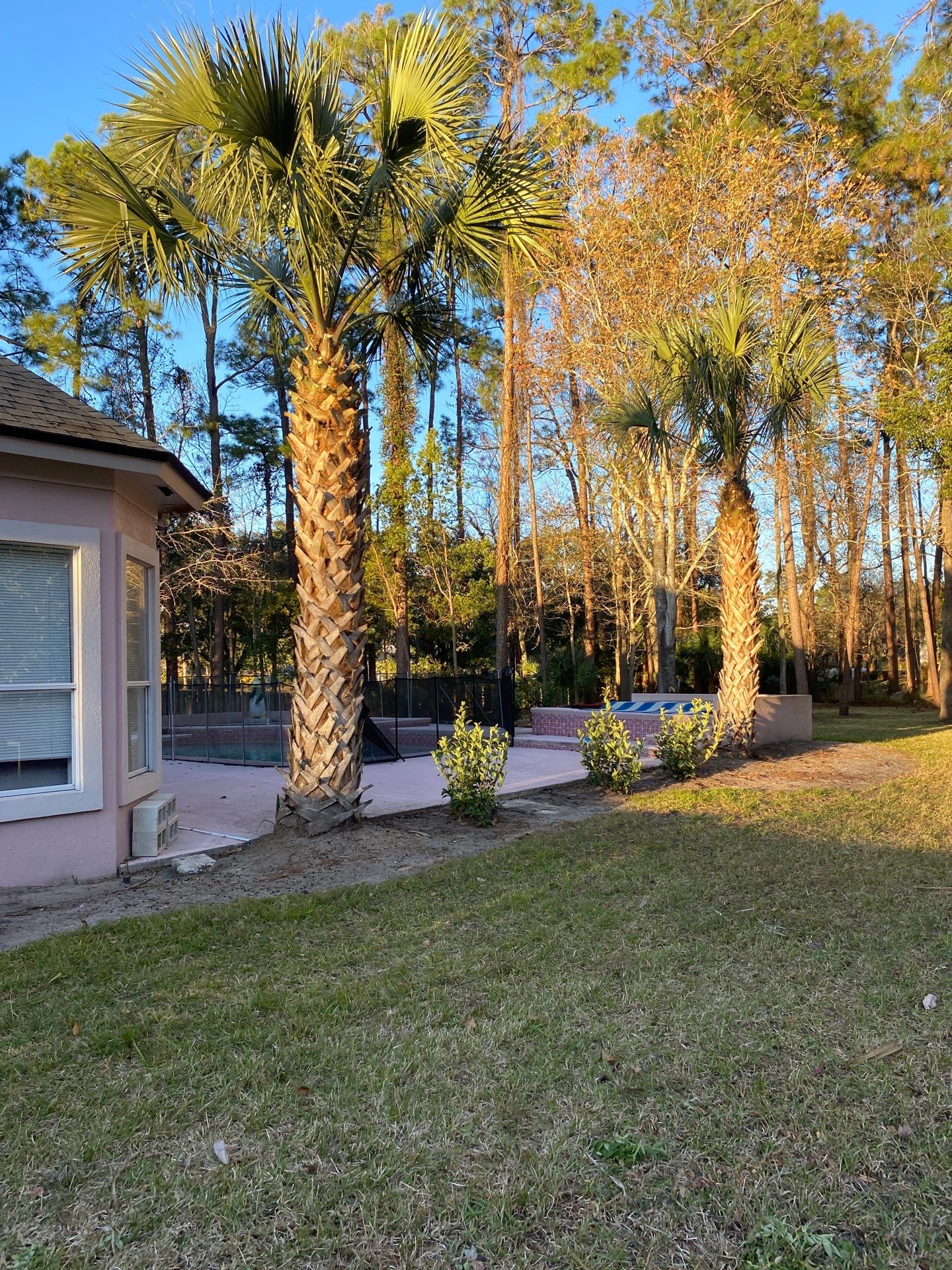 Deerwood Resident | Tree Removal & Clean-Up by ProGreen Services