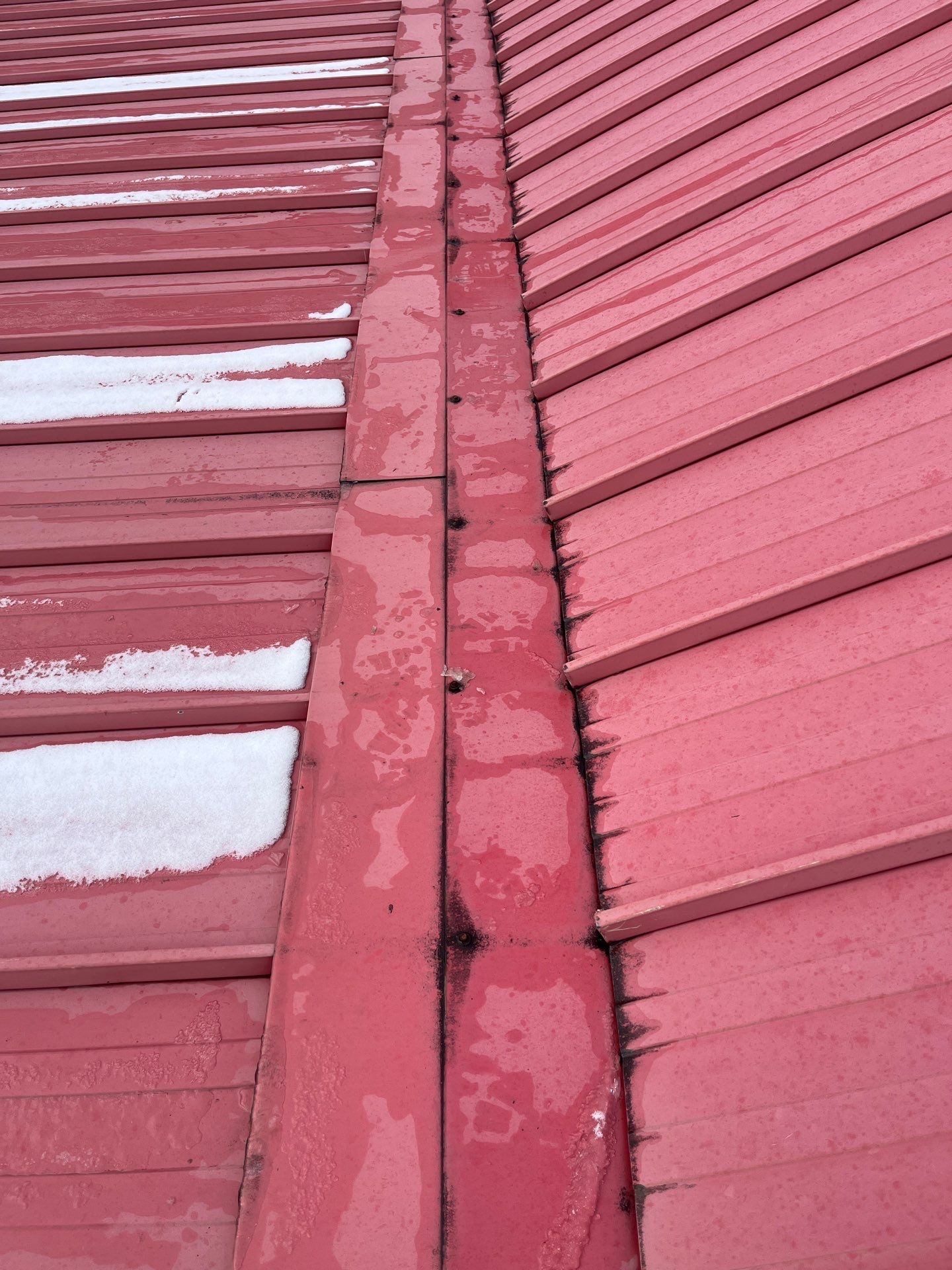 Steel Roofing by Mainline Roofing Co. Ltd.