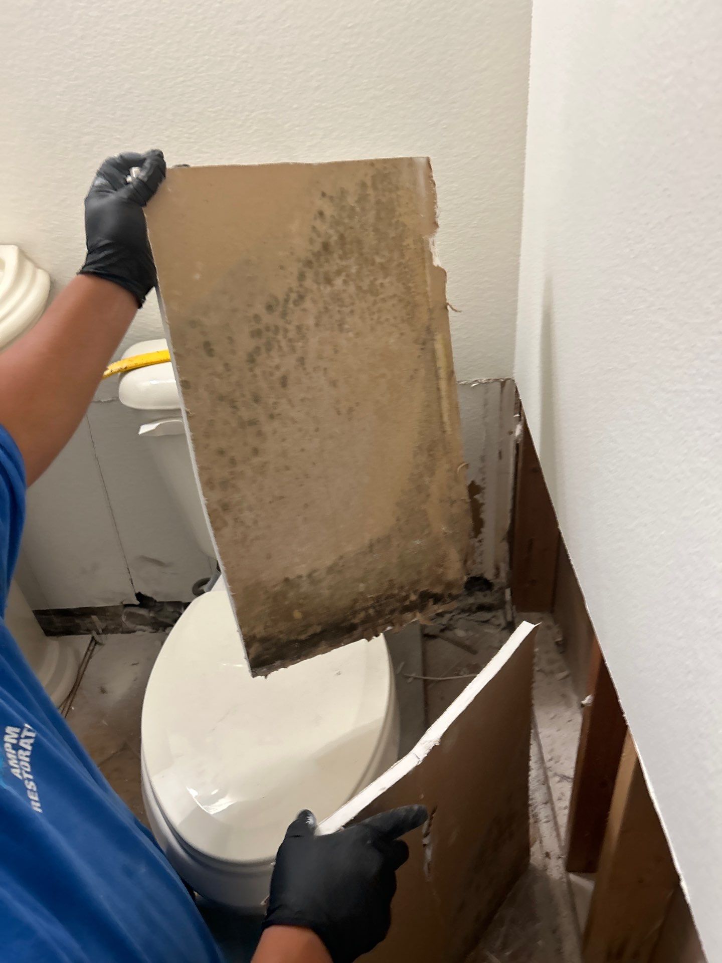 Water Damage Restoration In Apollo Beach, Florida by Ampm Restoration Services 