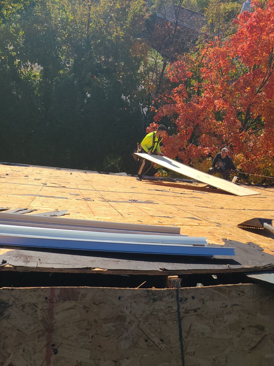 Alexandria: Residential Roof Replacement with CertainTeed Landmark Pro Designer Shingles in Max Def Moire Black by RM Banning, Inc.