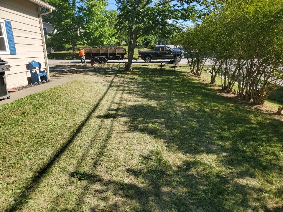 Tree Removal using Tree Removal by Mike Jones & Sons Tree Service LLC 