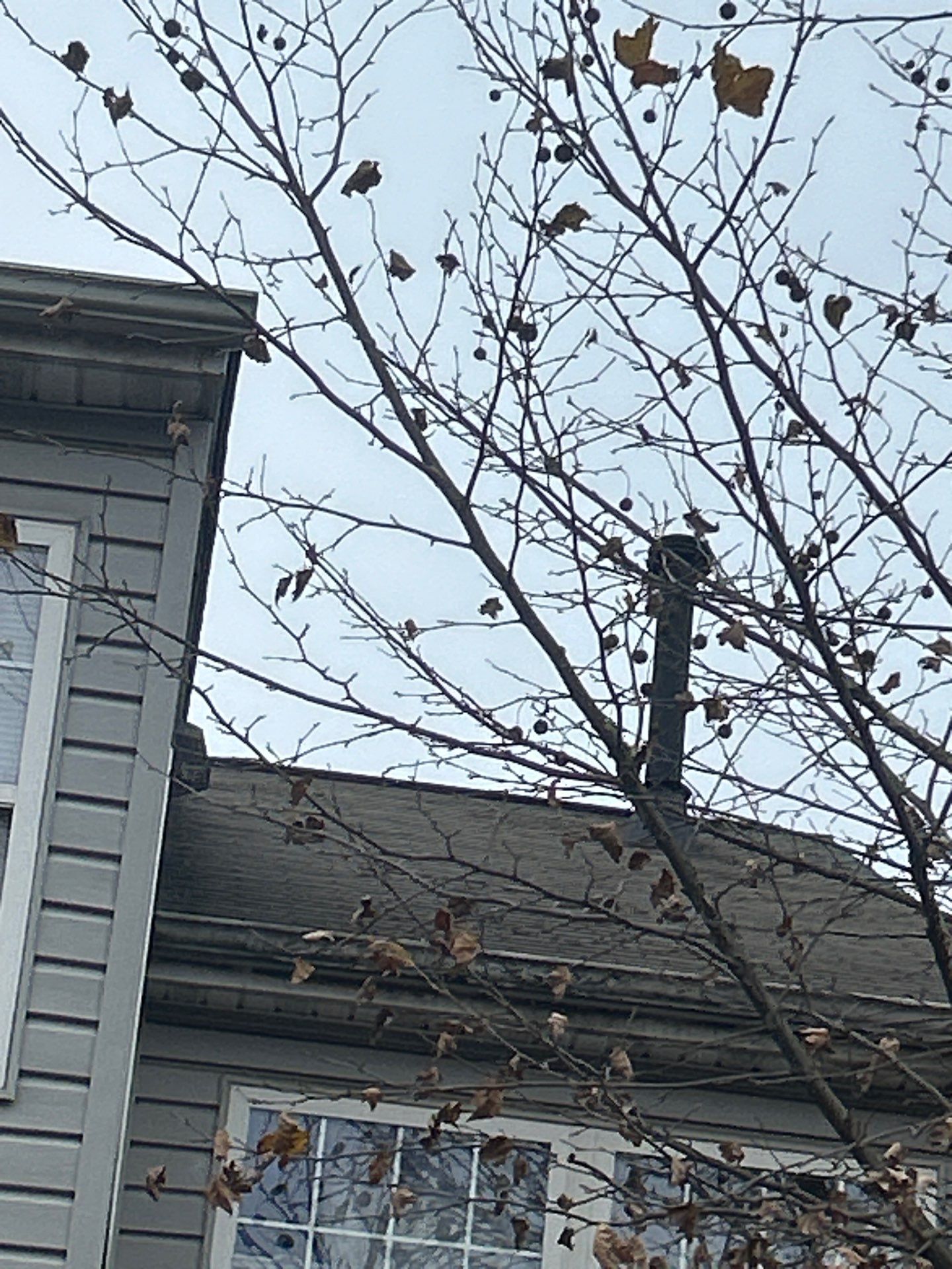 Sterling: Residential Roof Replacement with CertainTeed Landmark Pro in Max Def Driftwood by RM Banning, Inc.