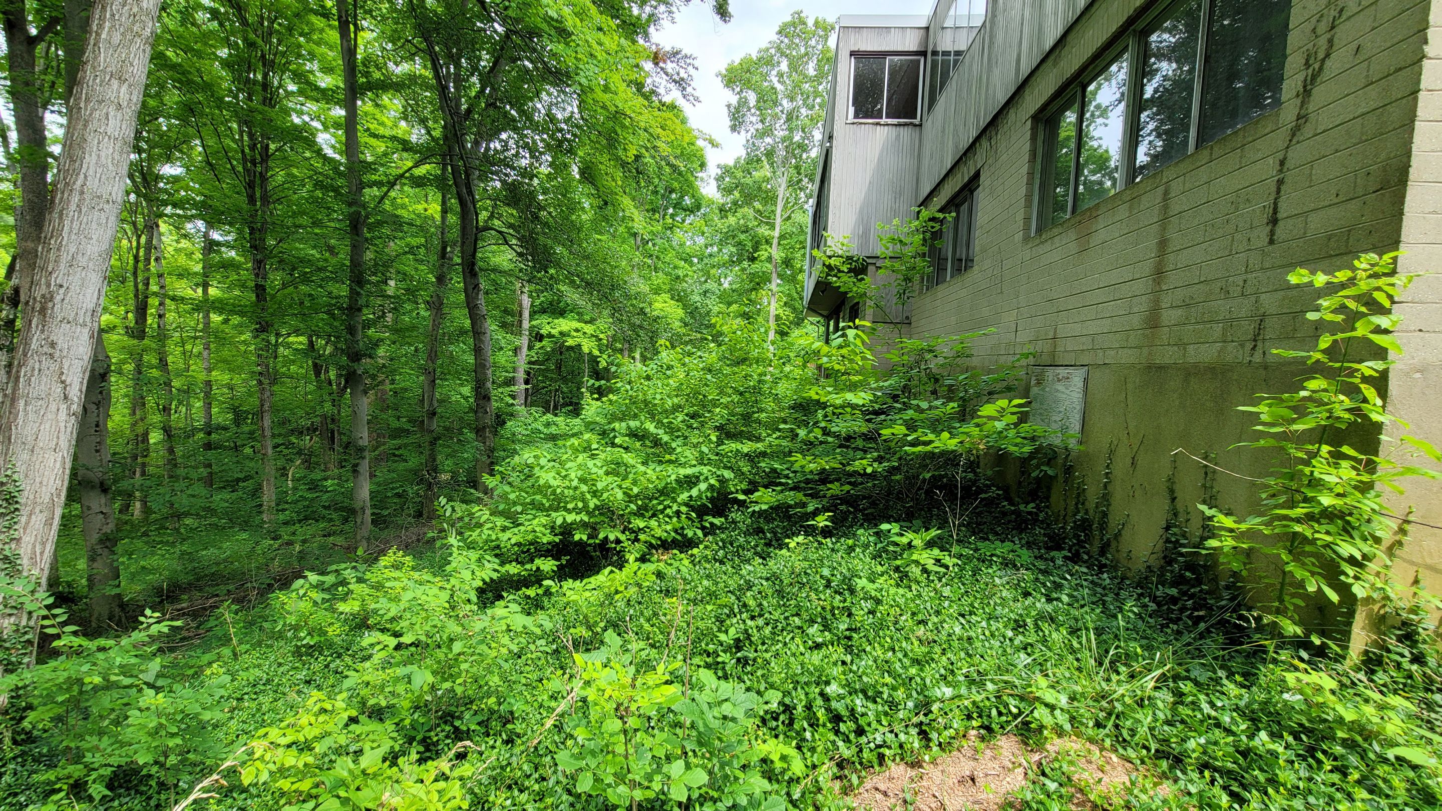 Land Clearing Behind House and Deck by Reisenberg’s Lawn & Landscape, LLC